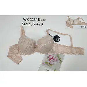 WK2231B,bra