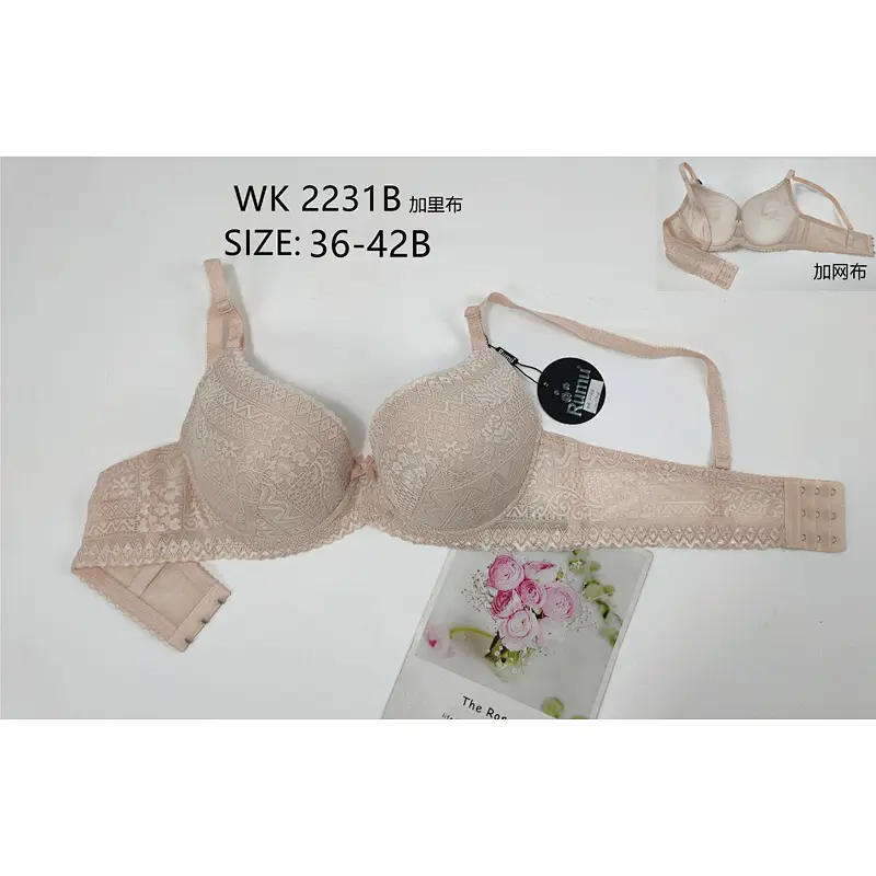 WK2231B,bra