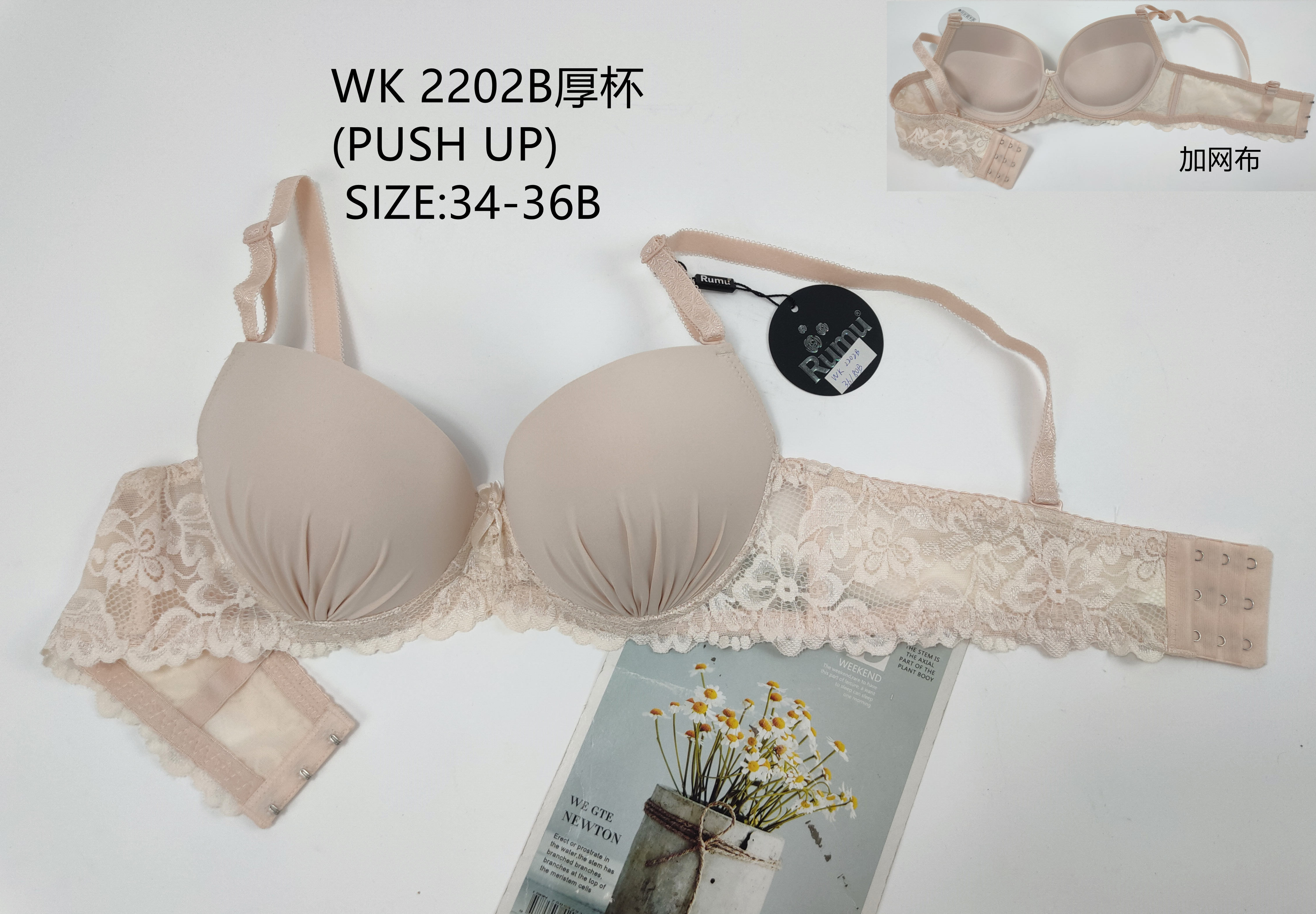 WK2202B厚杯