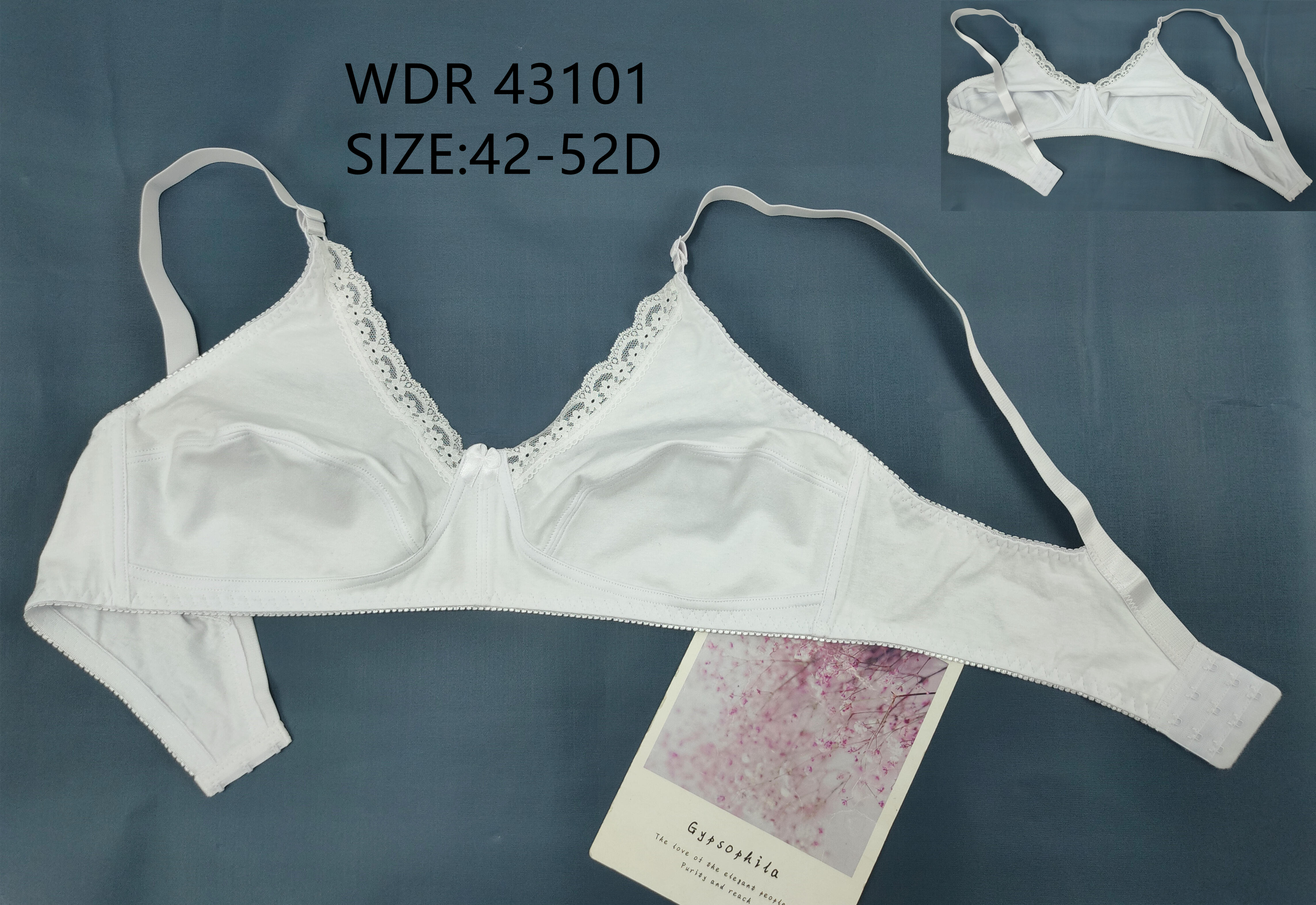 WDR43101,bra