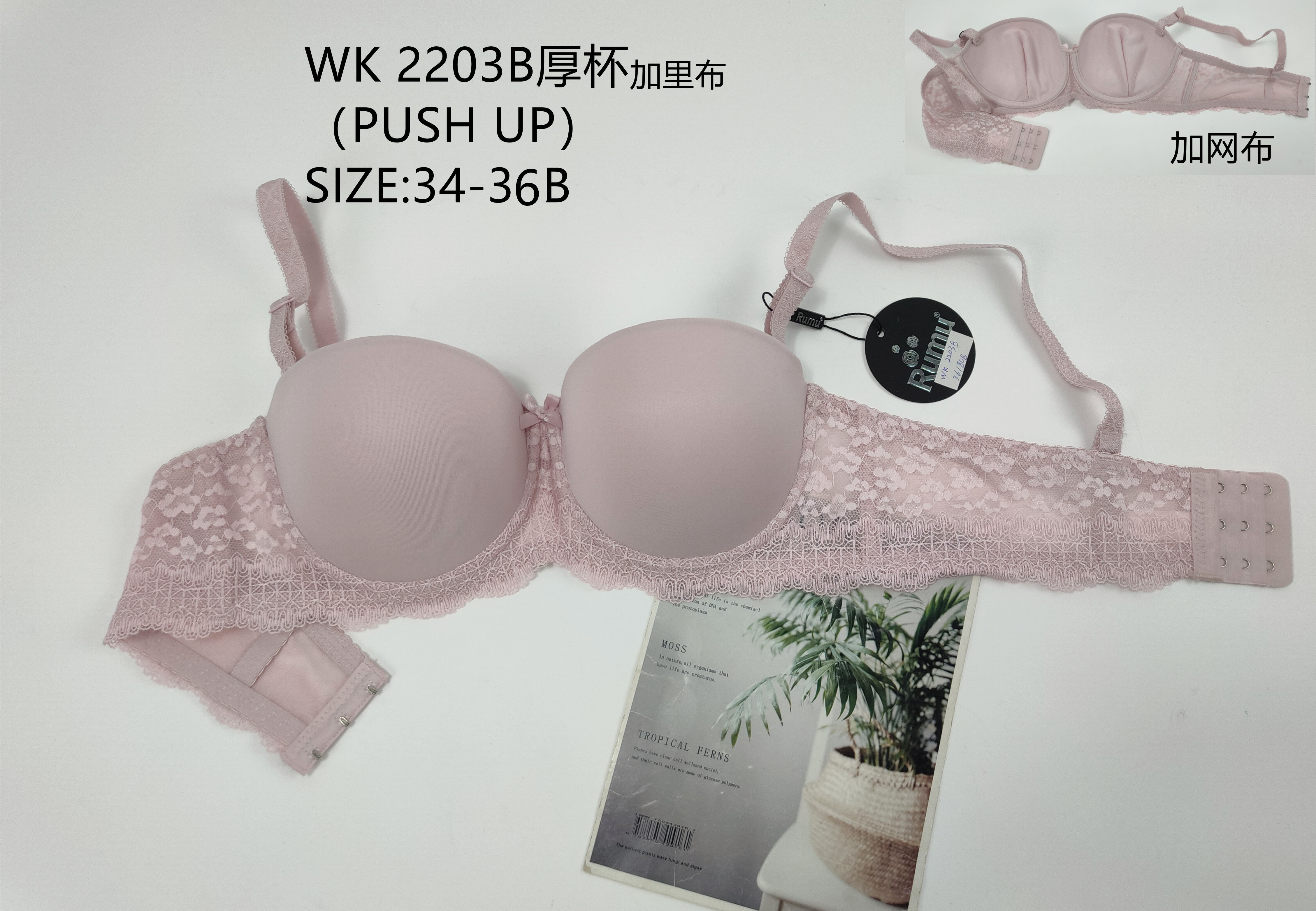 WK2203B厚杯