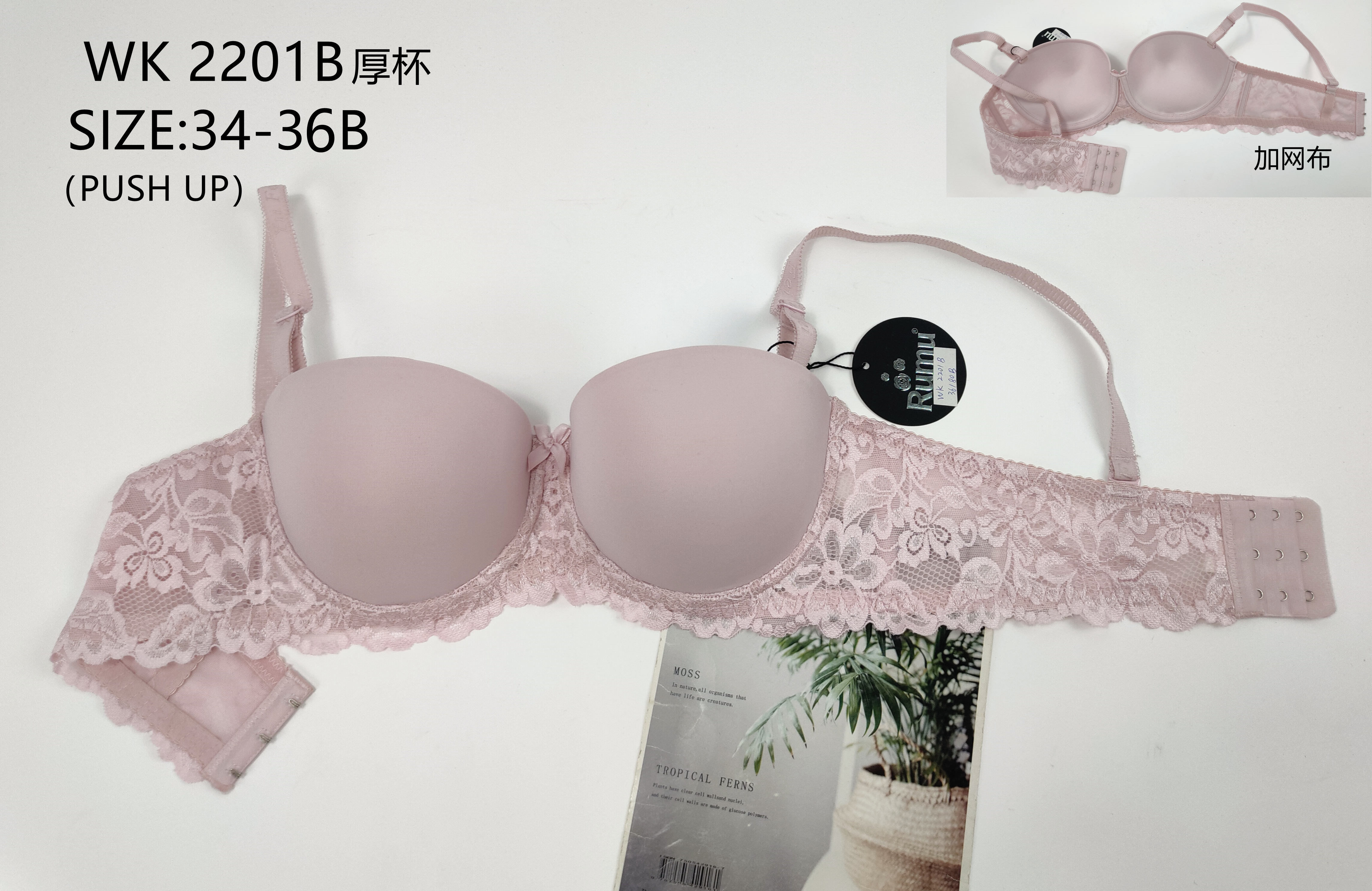 WK2201B厚杯