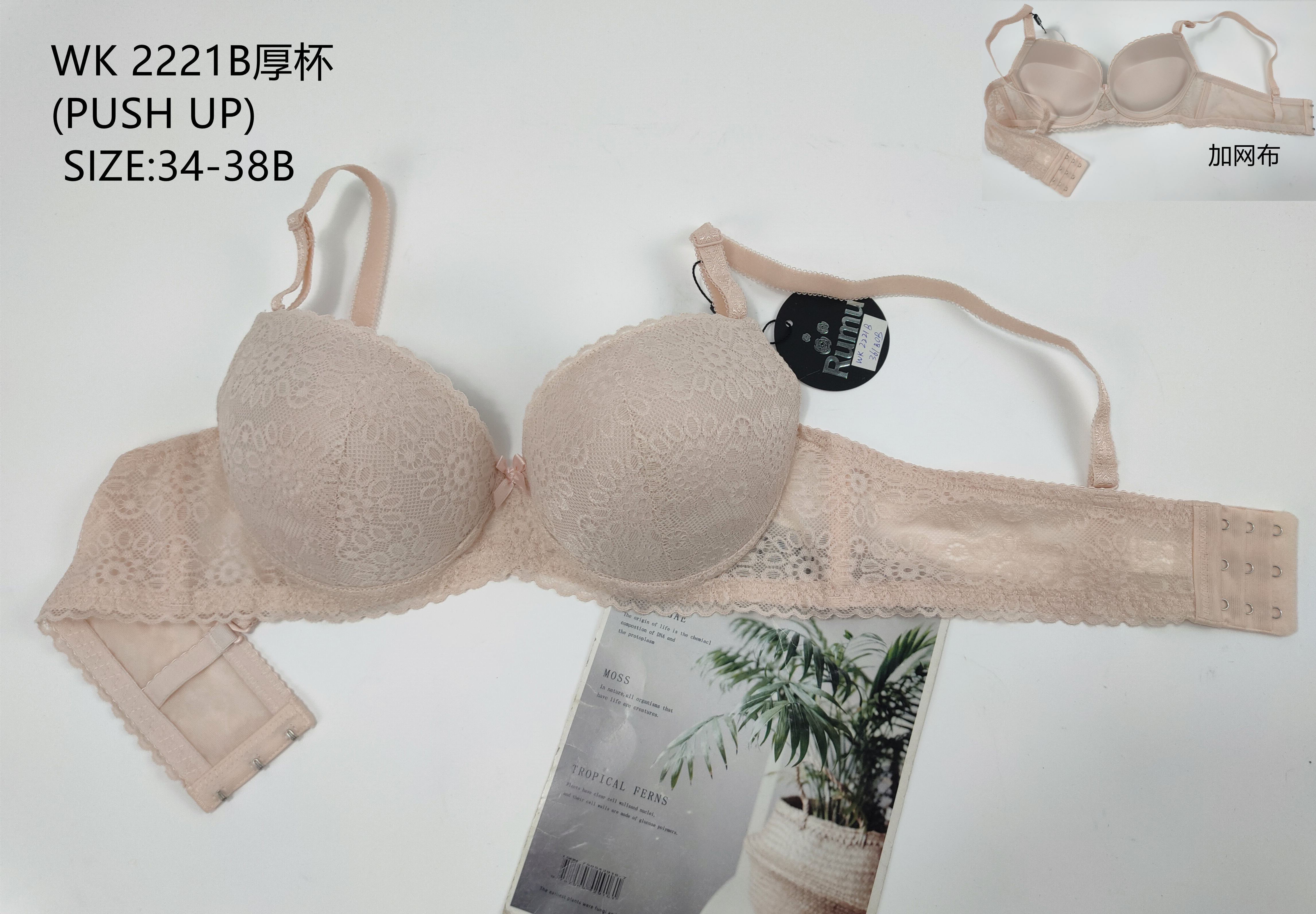 WK2221B厚杯