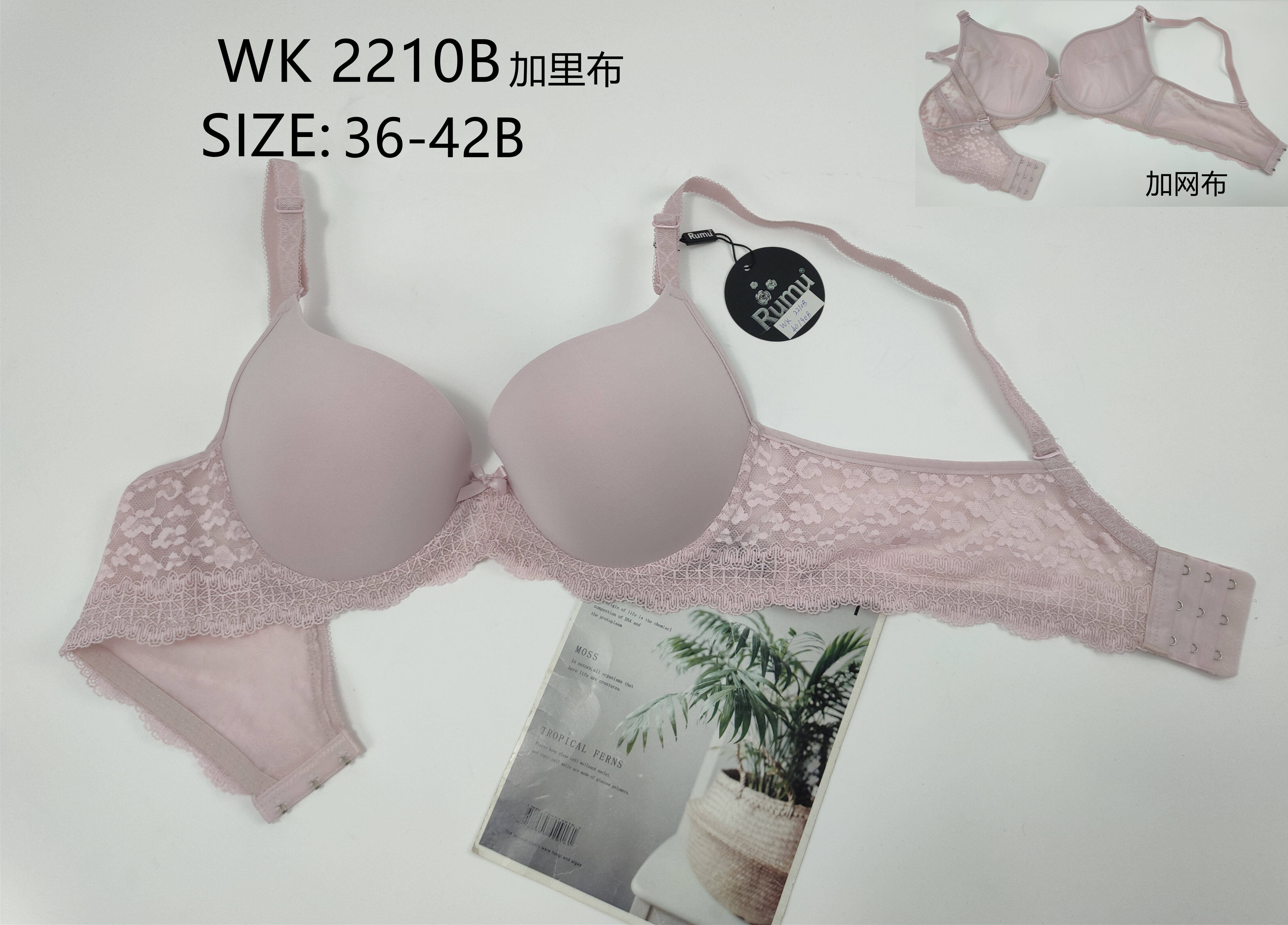WK2210B,bra