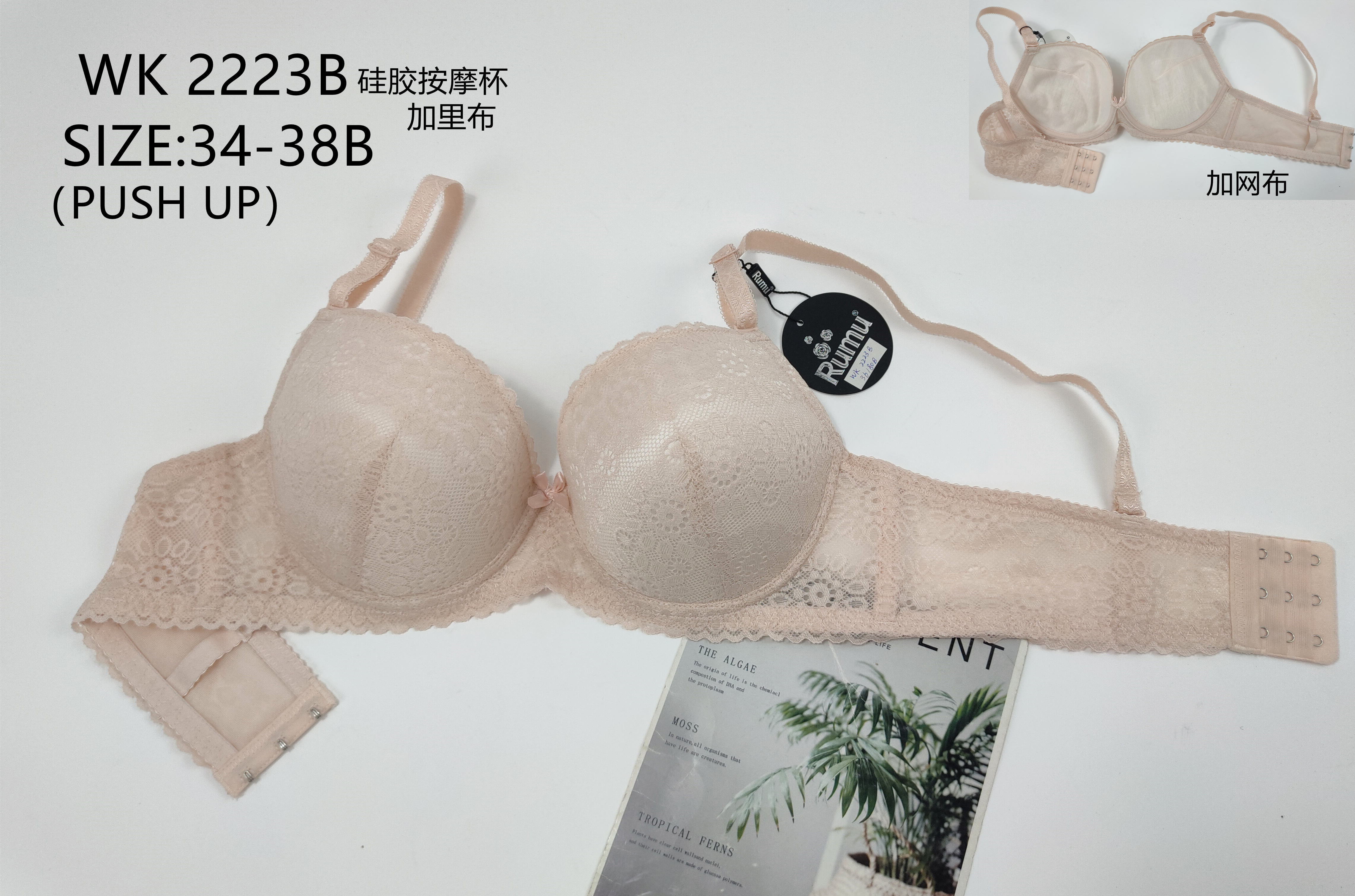 WK2223B厚杯,bra
