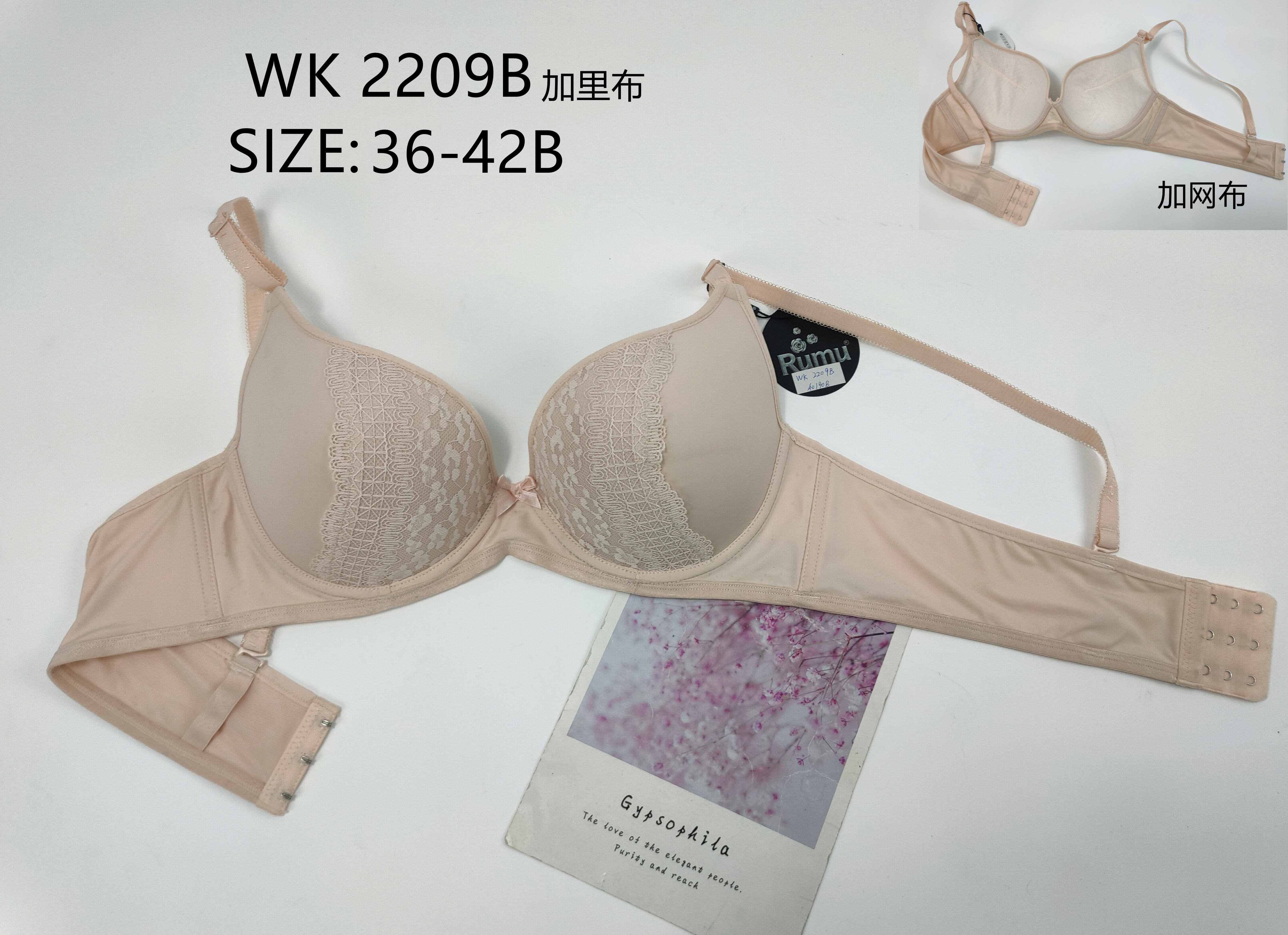 WK2209B,bra