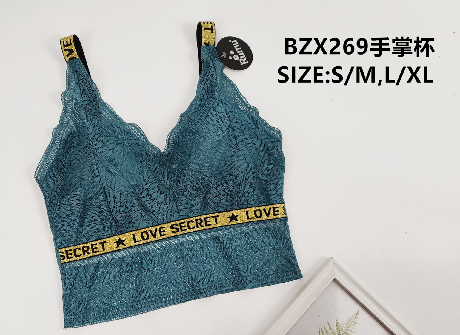 BZX269手掌杯,bra