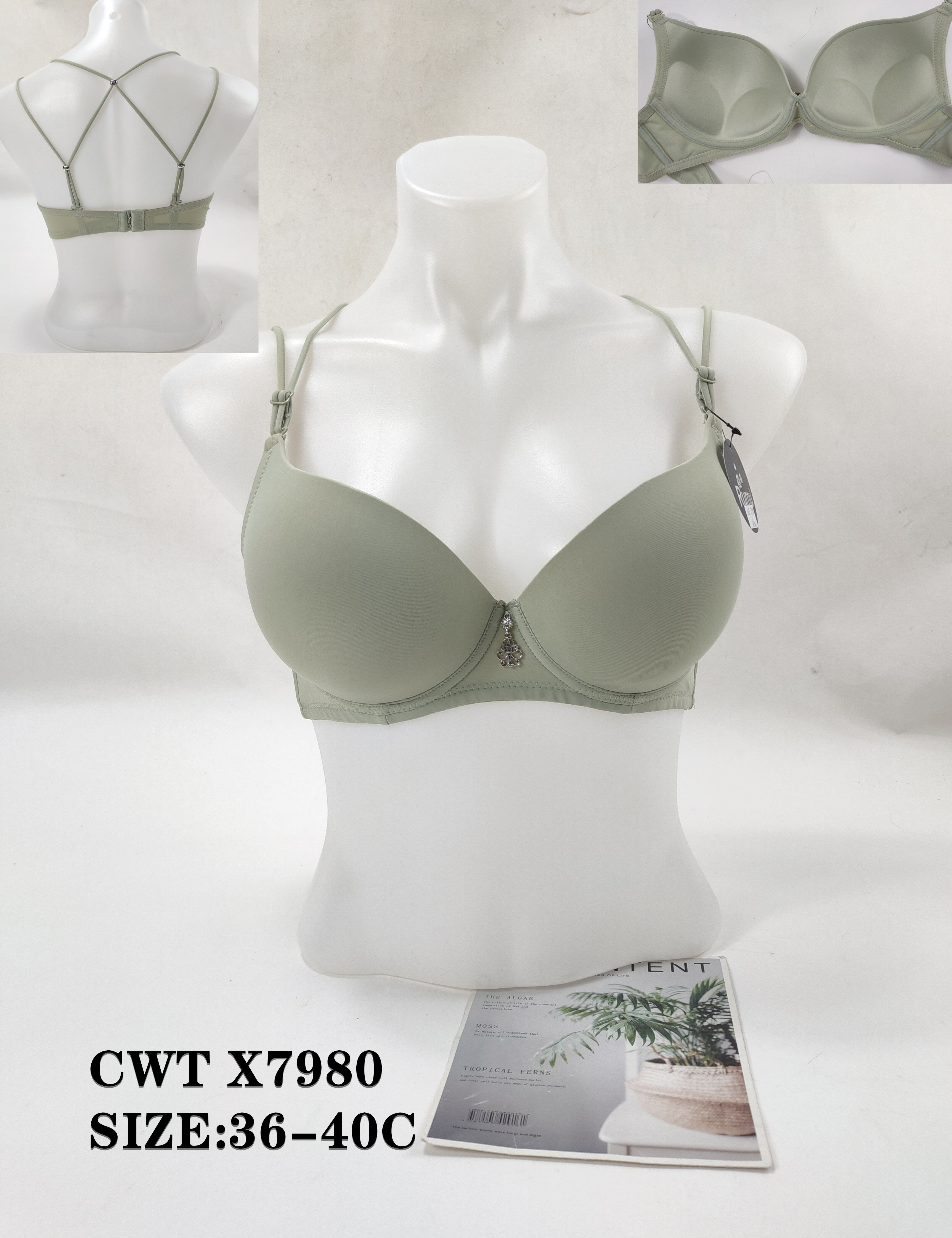 CWTX7980,bra