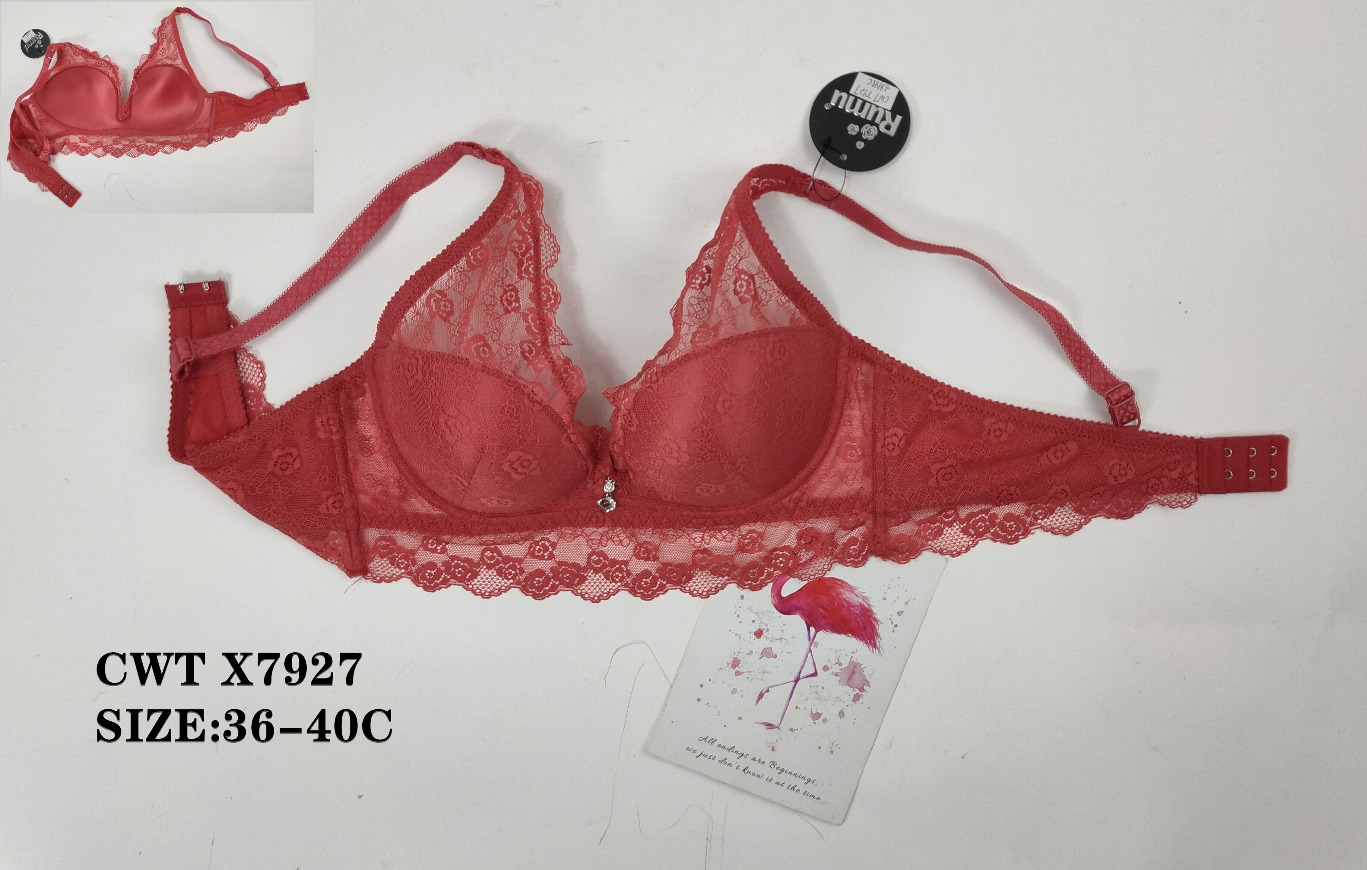 CWTX7927,bra