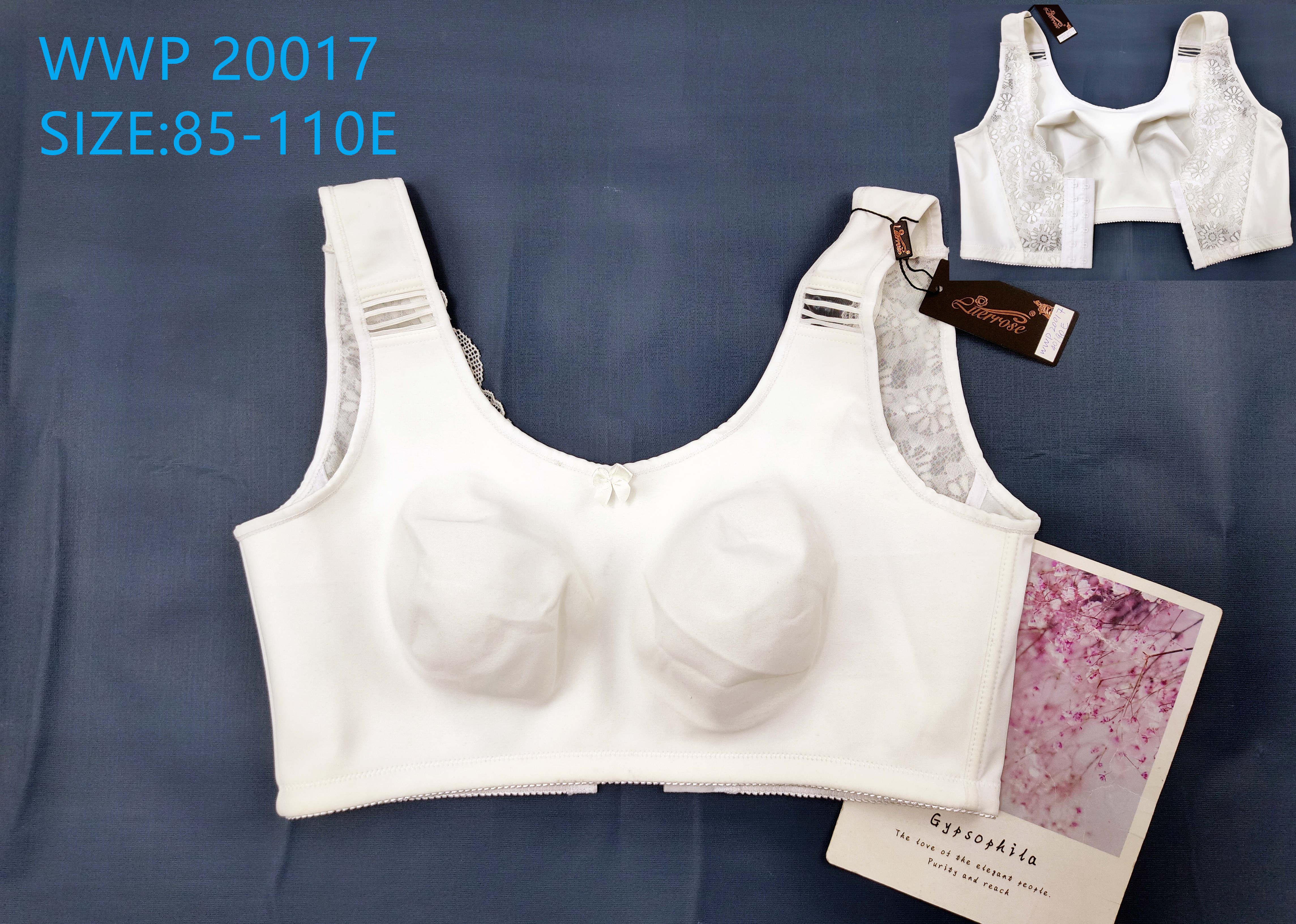 WWP20017,bra