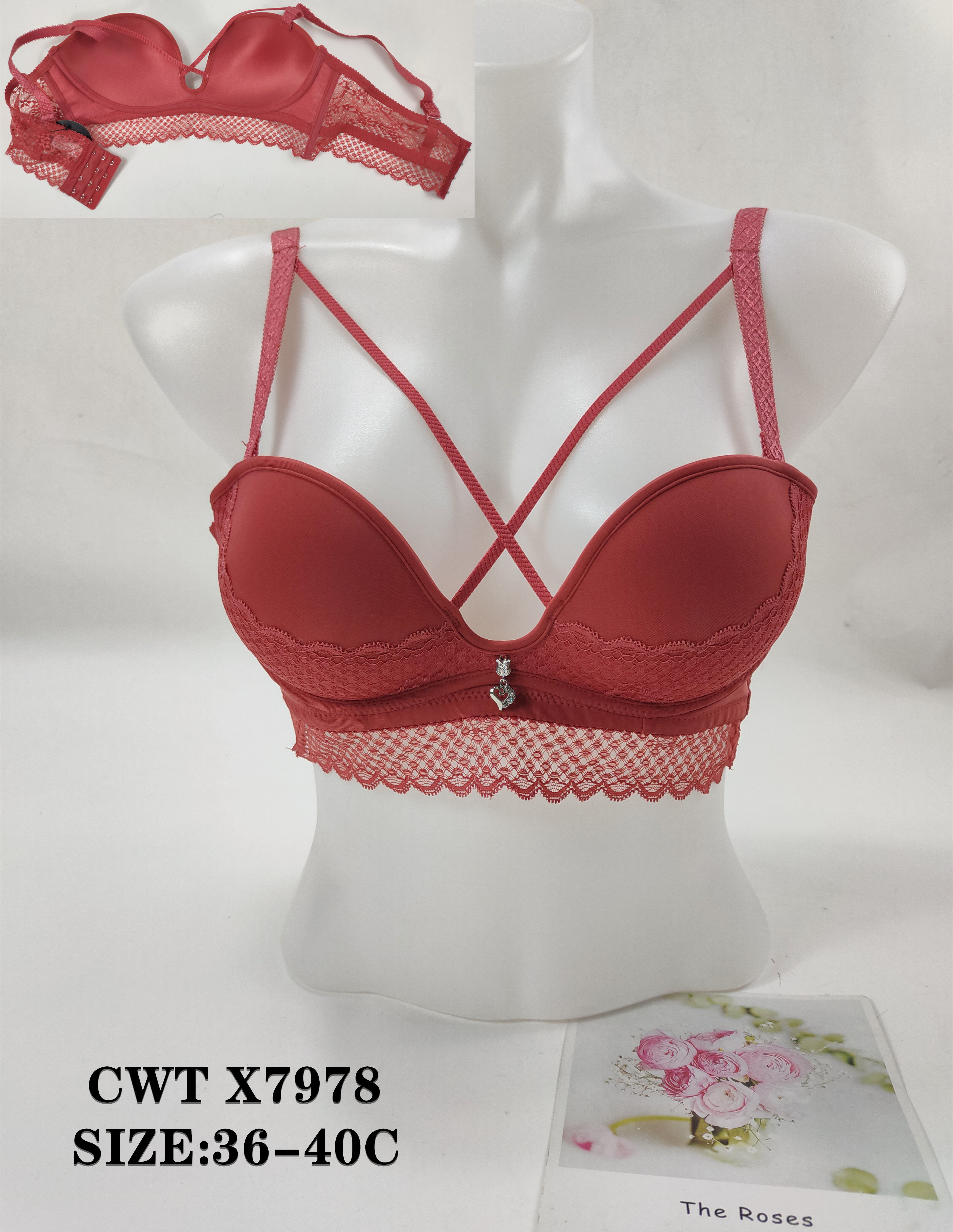 CWTX7978,bra