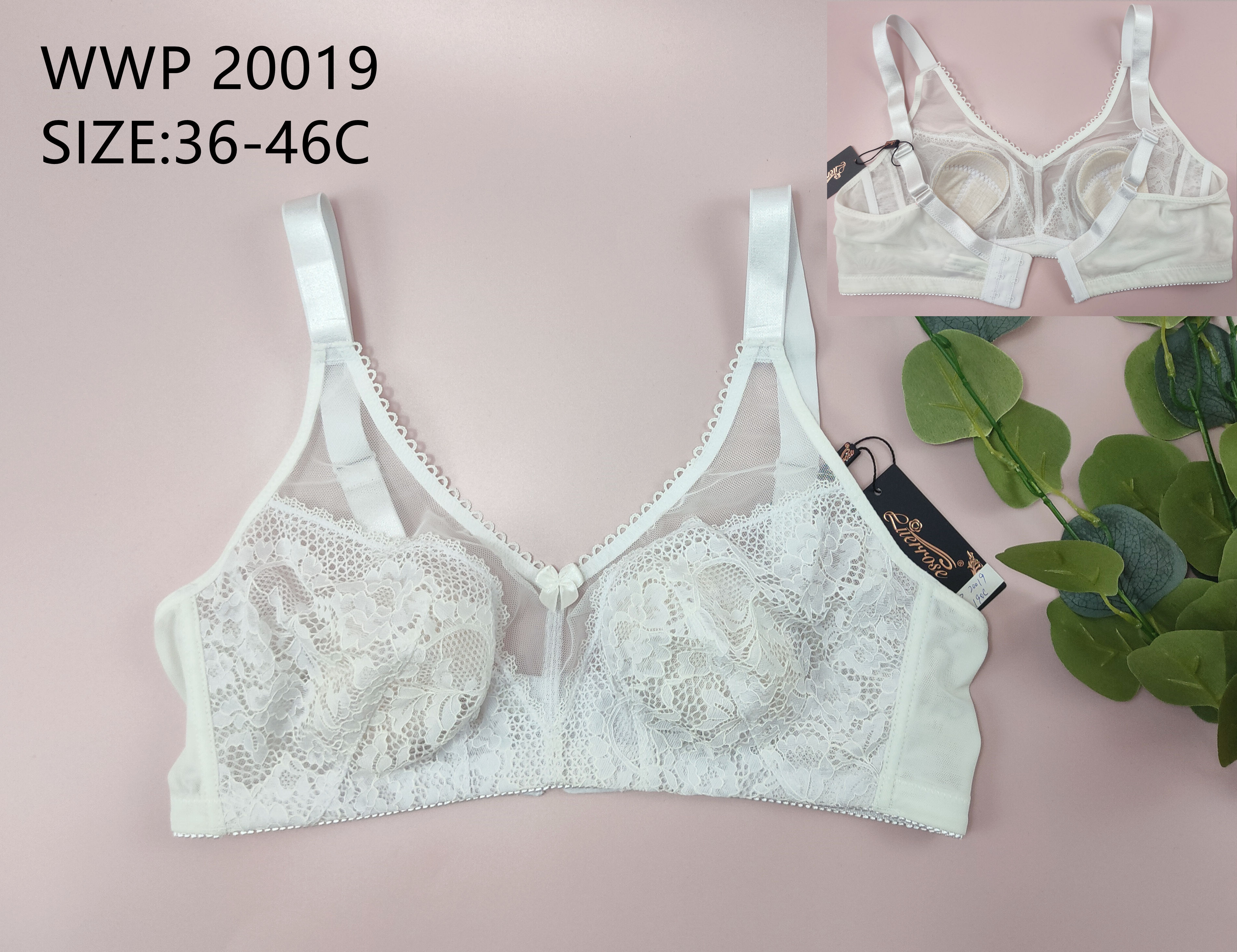 WWP20019,bra