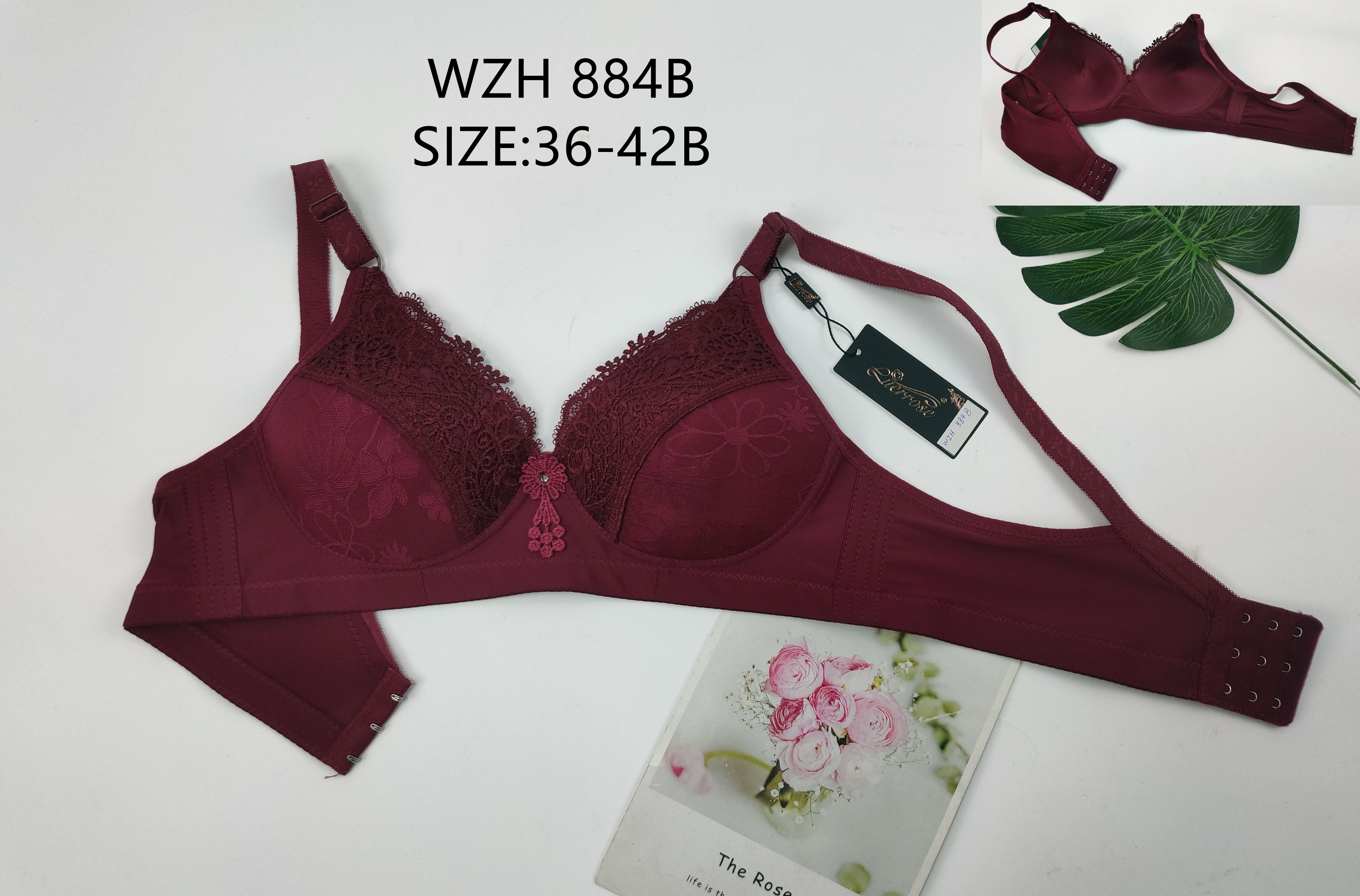 WZH884,bra