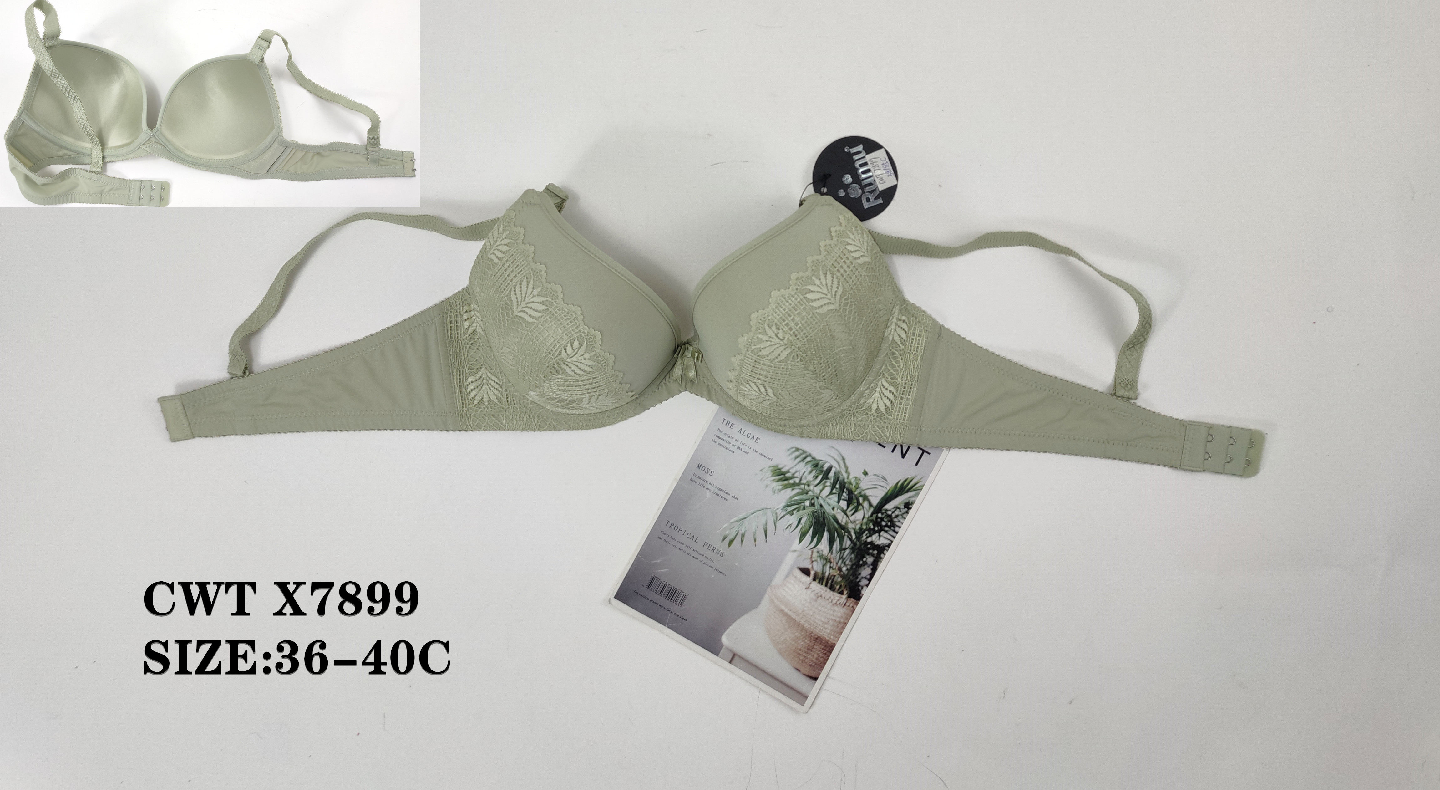 CWTX7899,bra