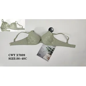 CWTX7899,bra