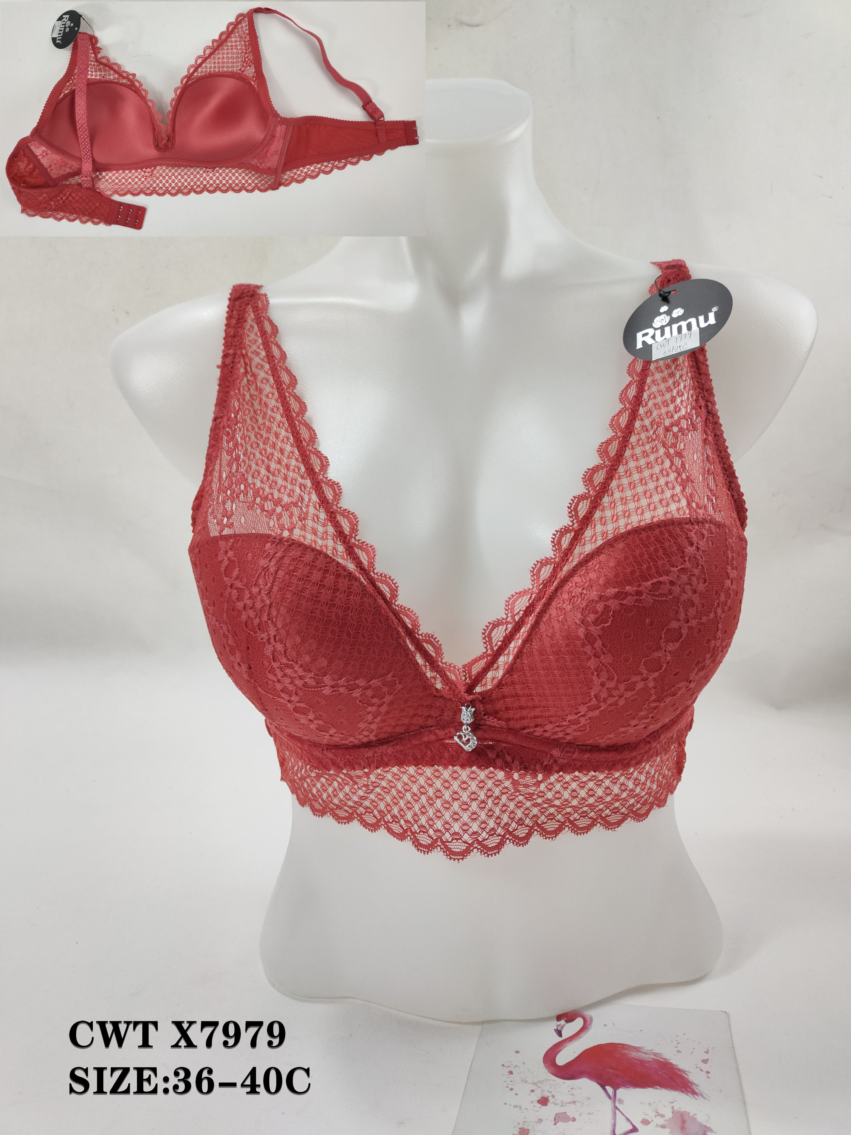 CWTX7979,bra
