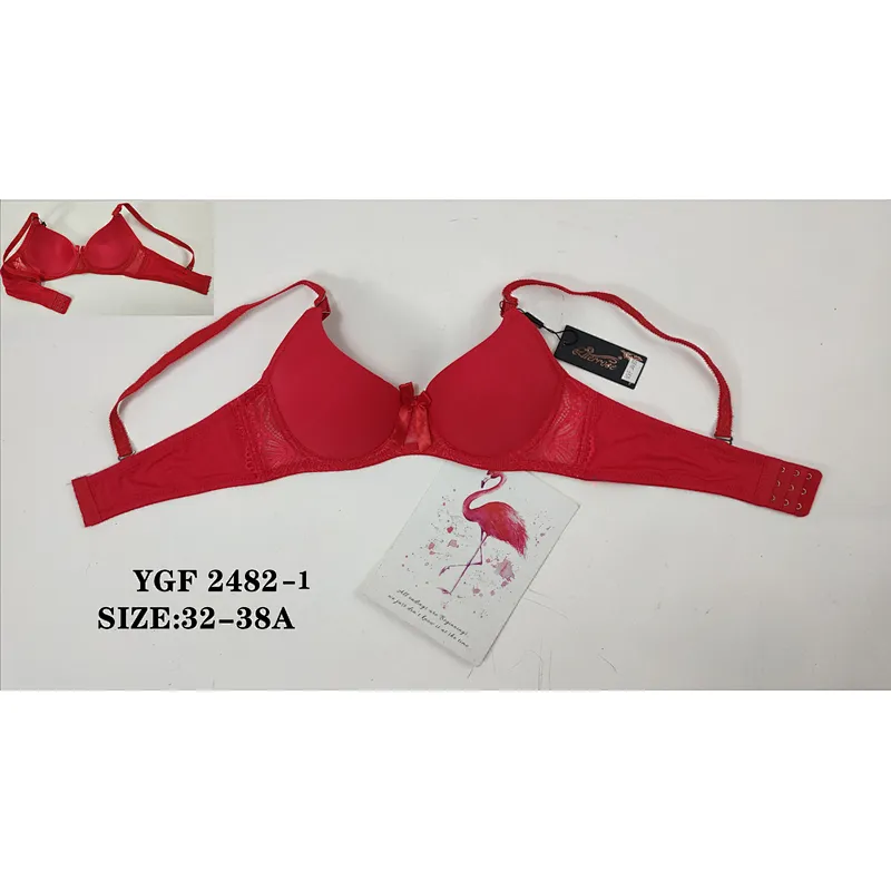 YGF2482-1