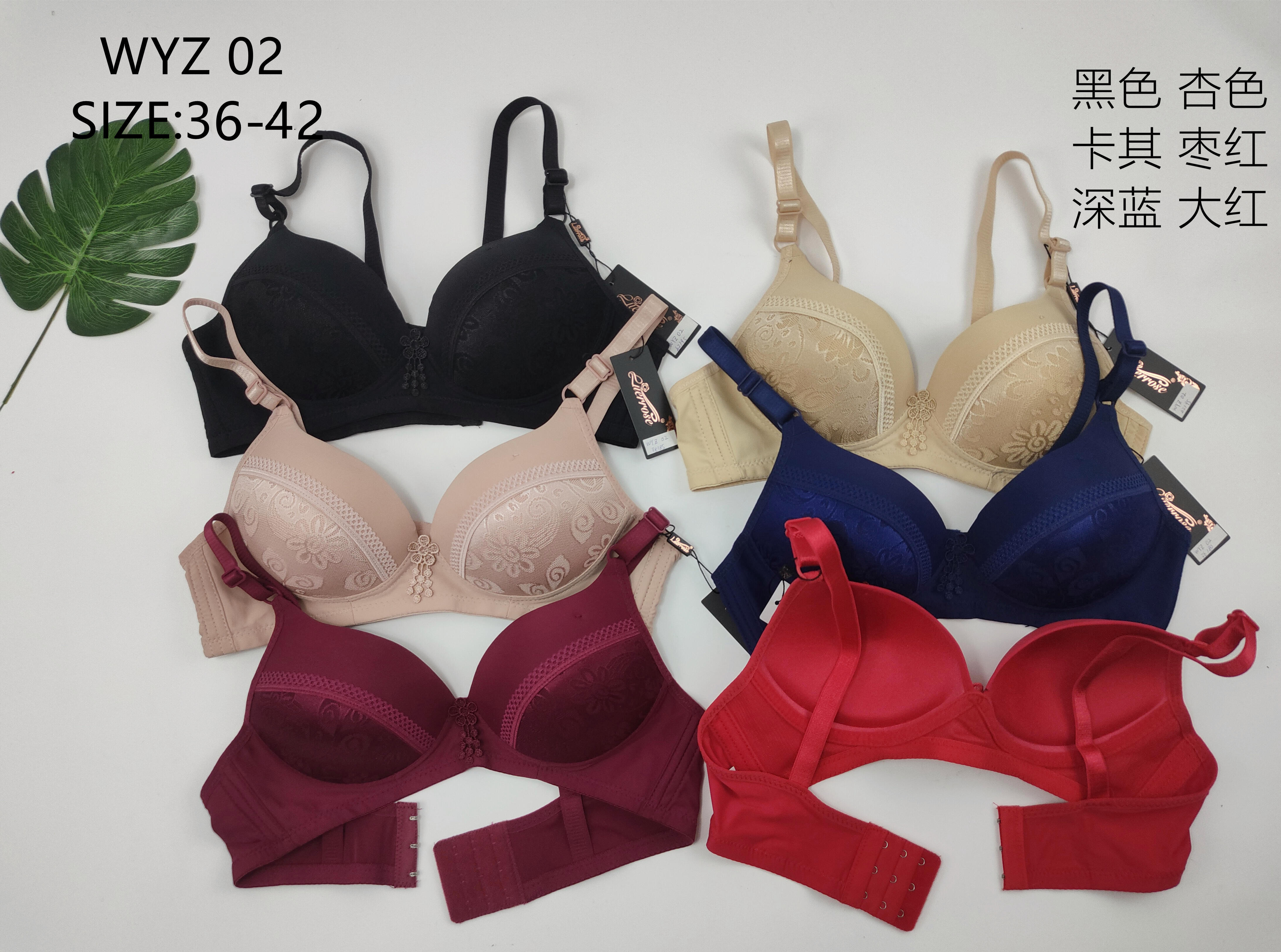 WYZ02,bra
