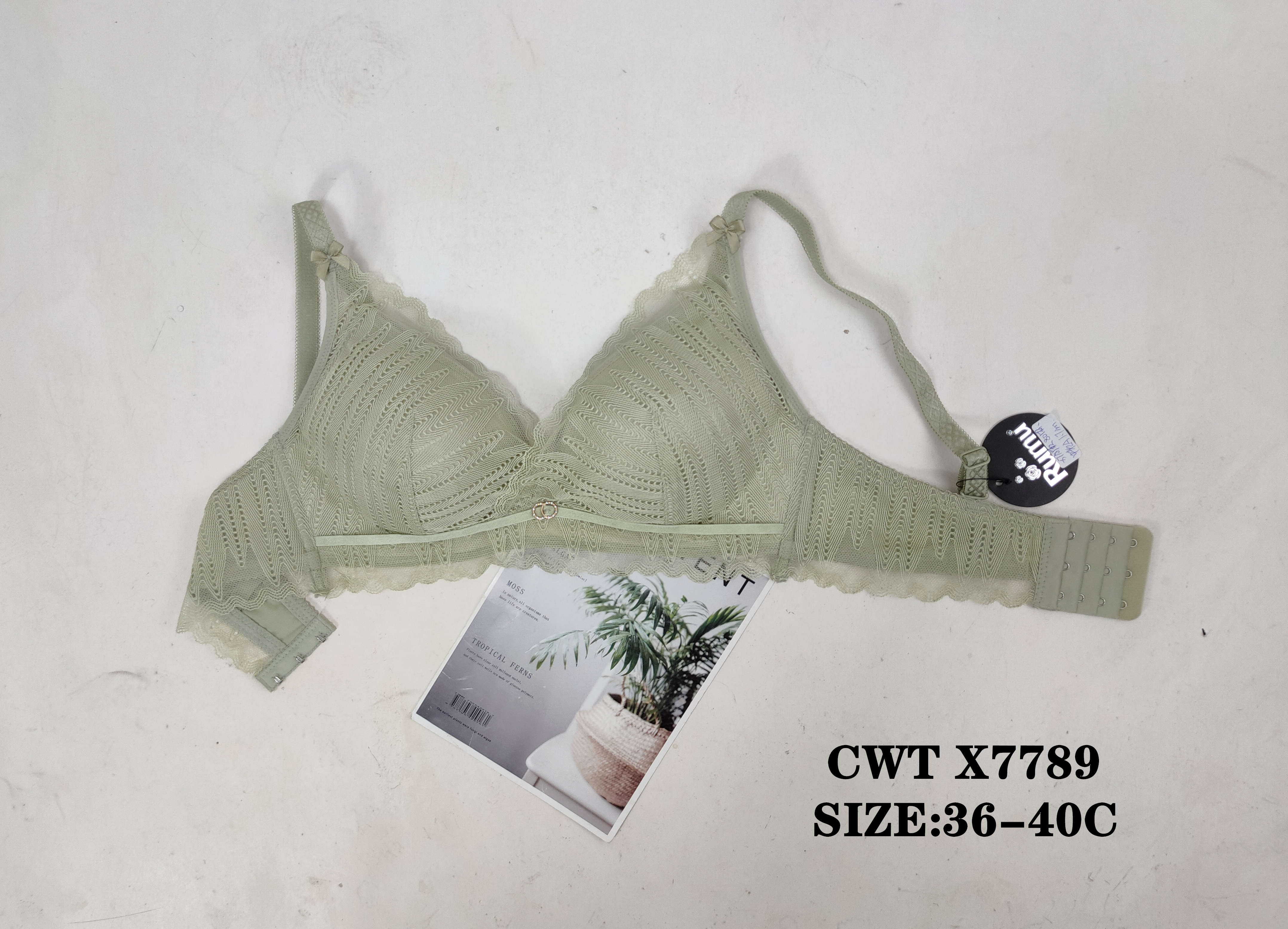 CWTX7789,bra