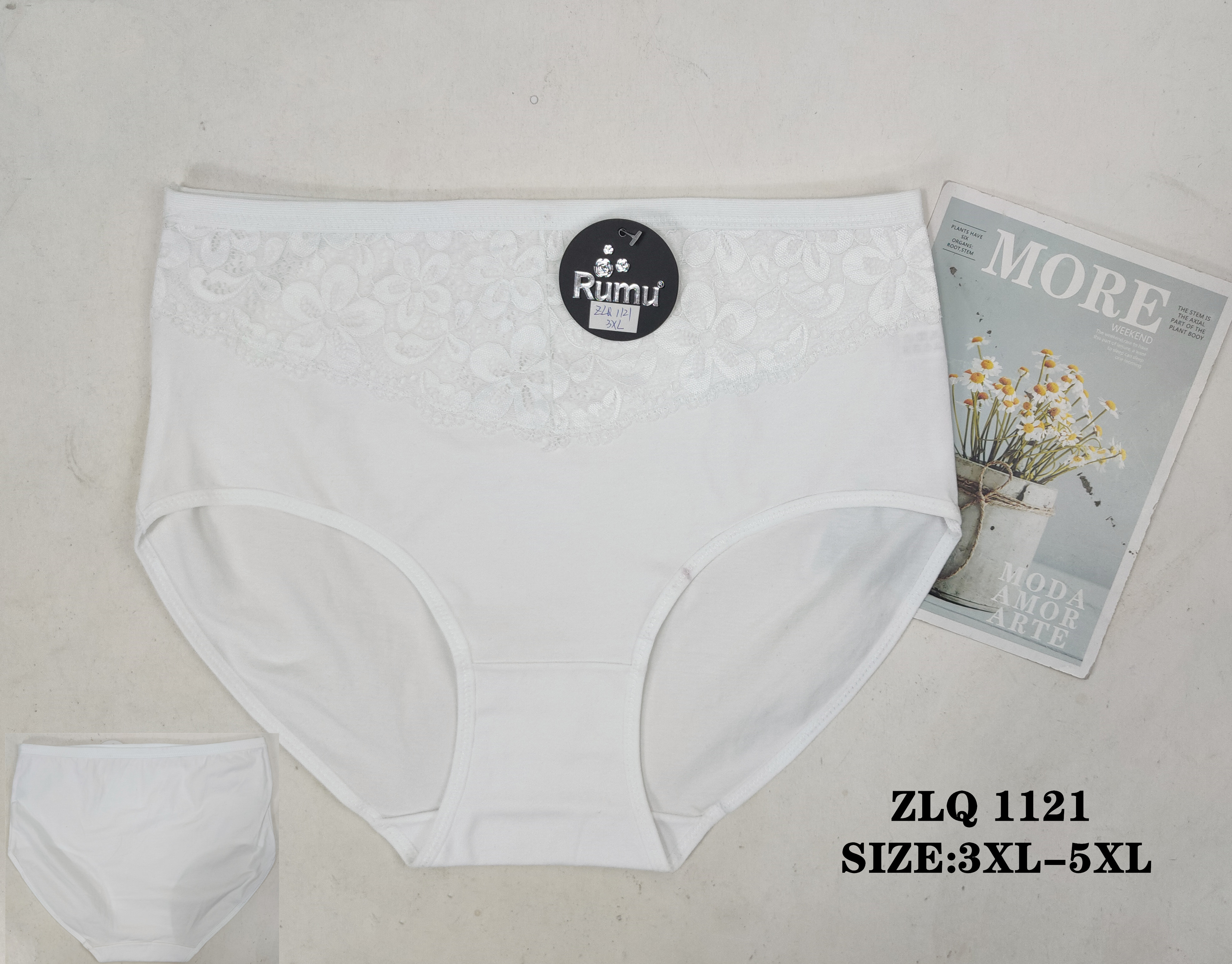 ZLQ1121