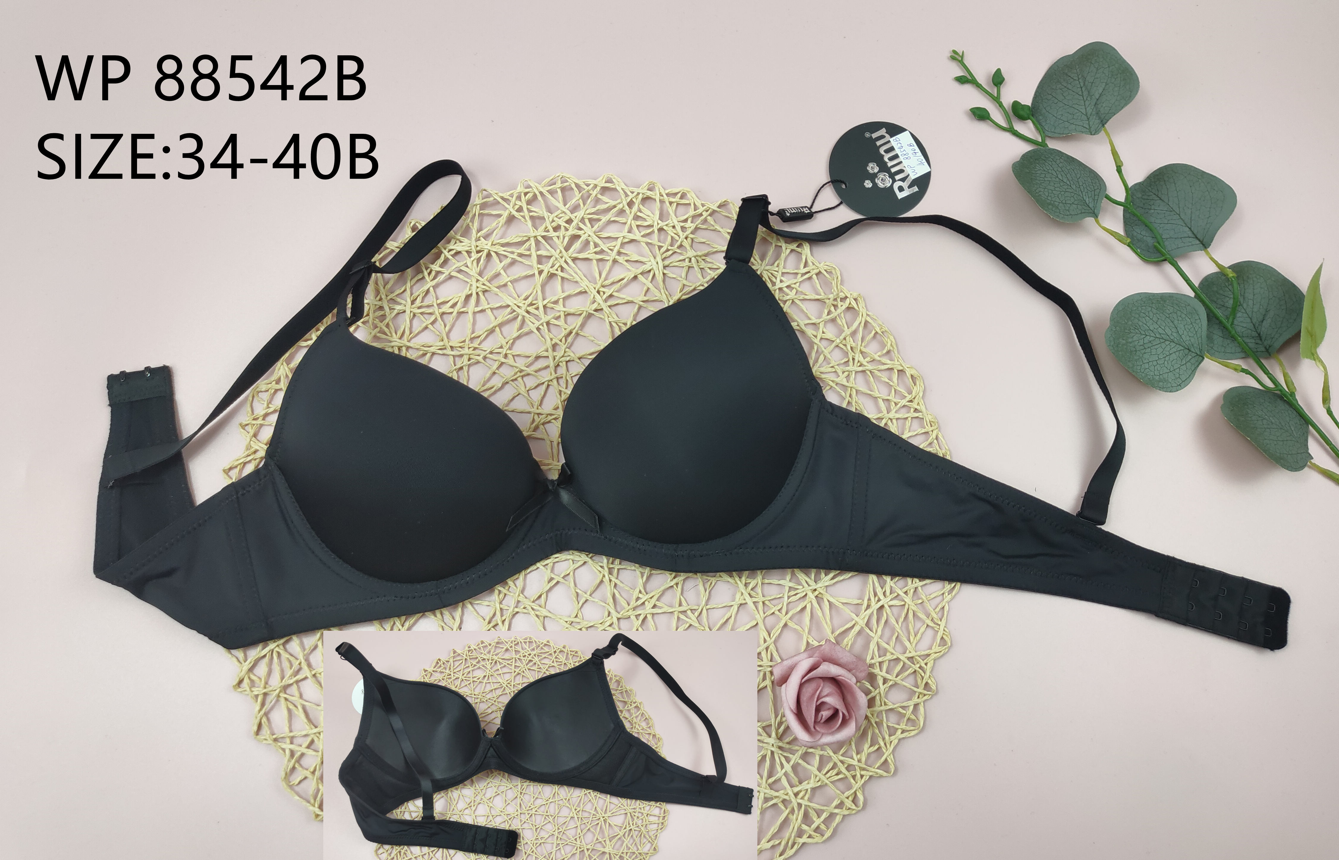 WP88542B,bra