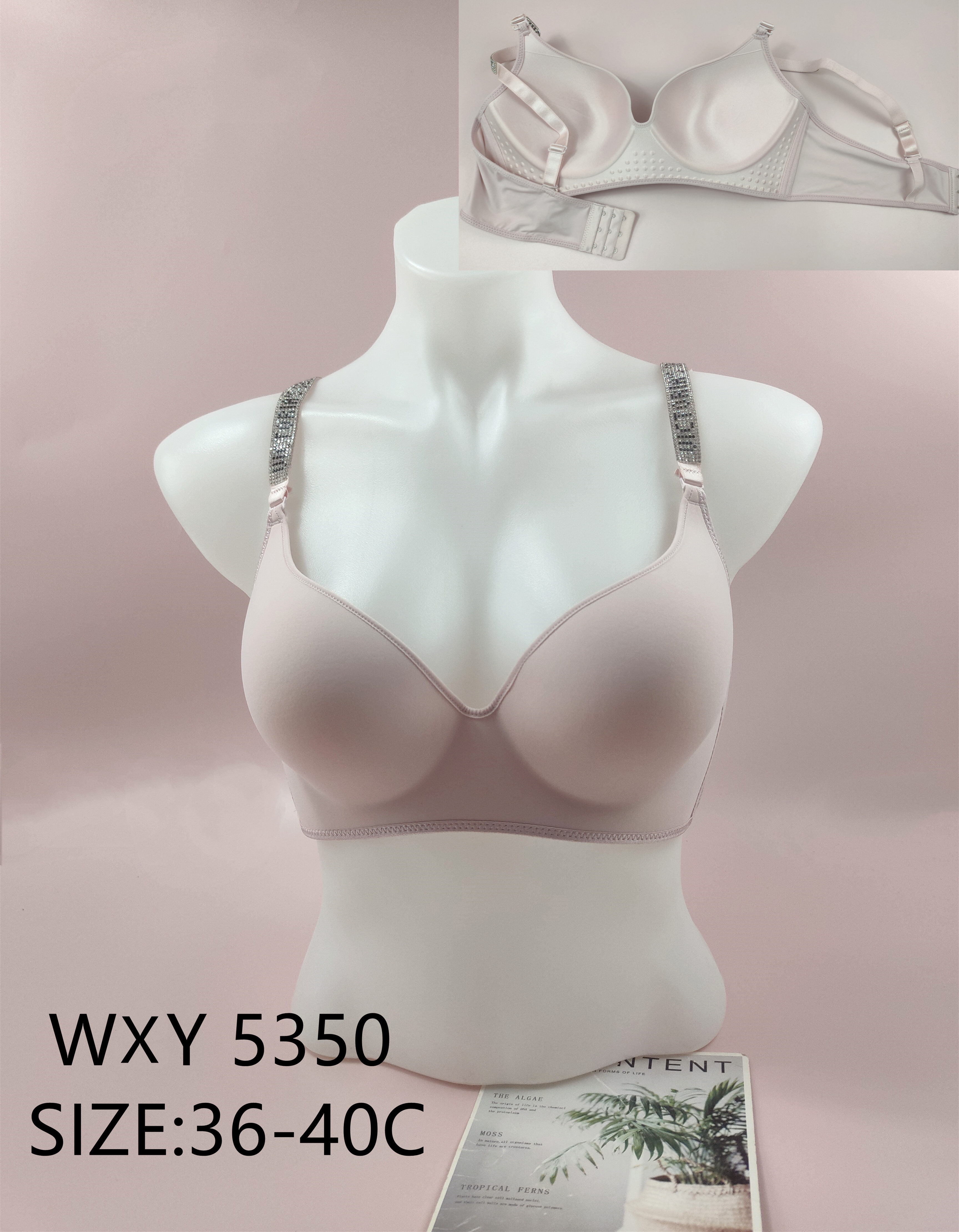 WXY5350，bra