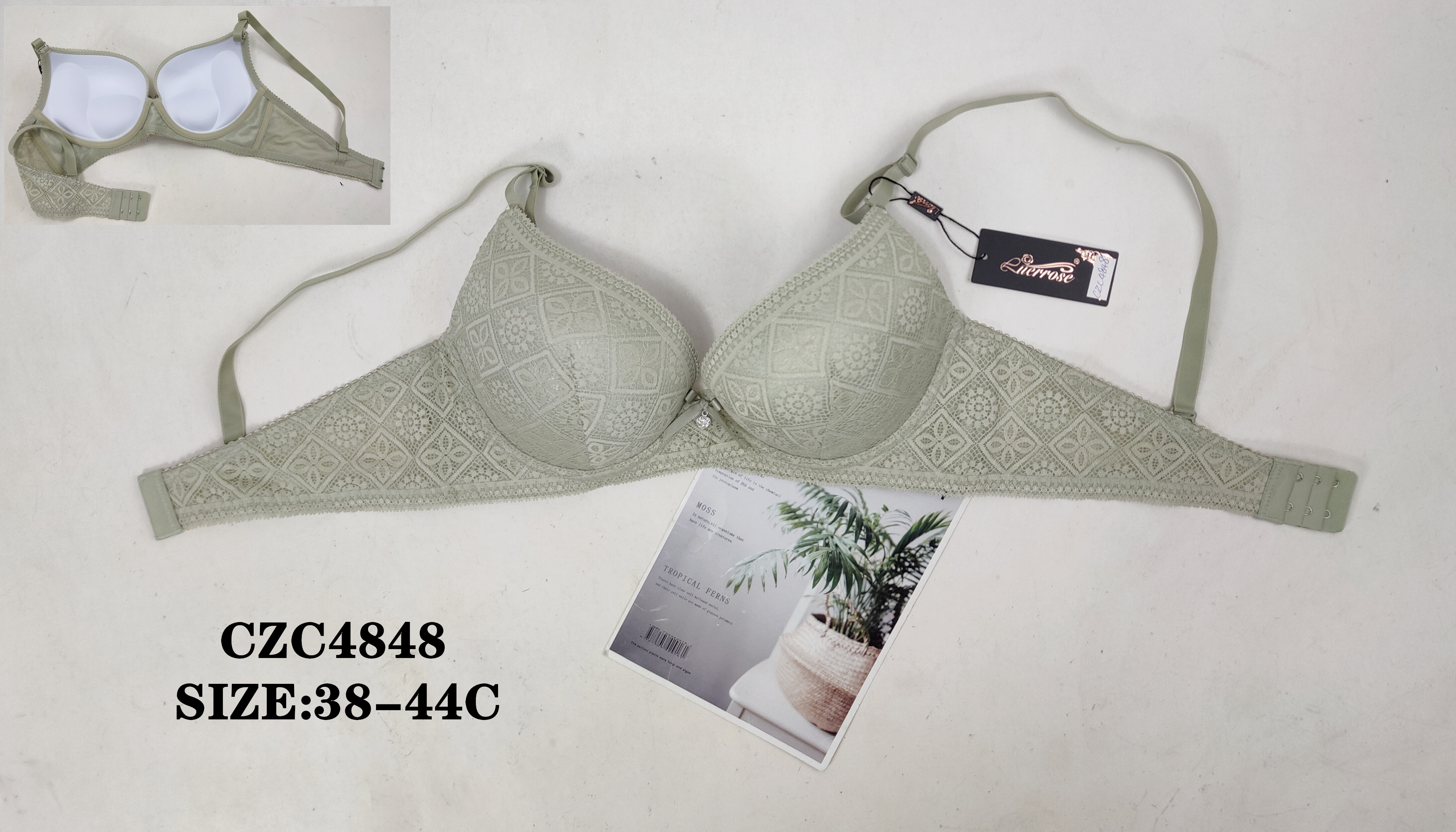CZC4848,bra
