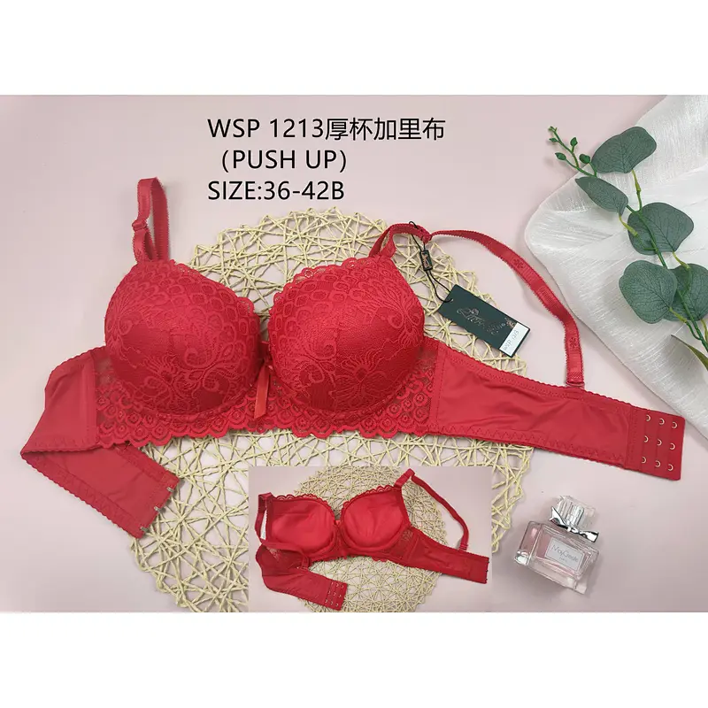 WSP1213厚杯,bra