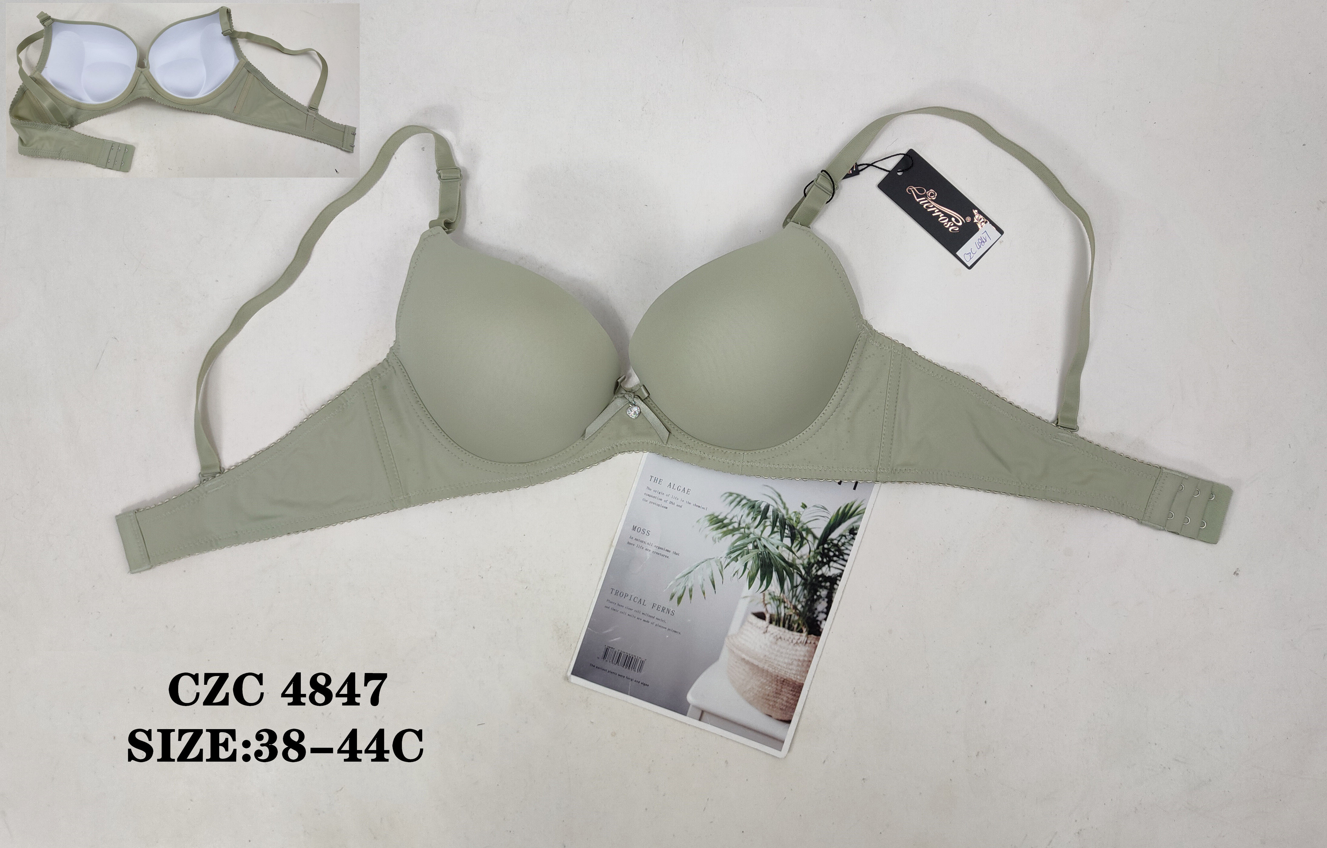 CZC4847,bra