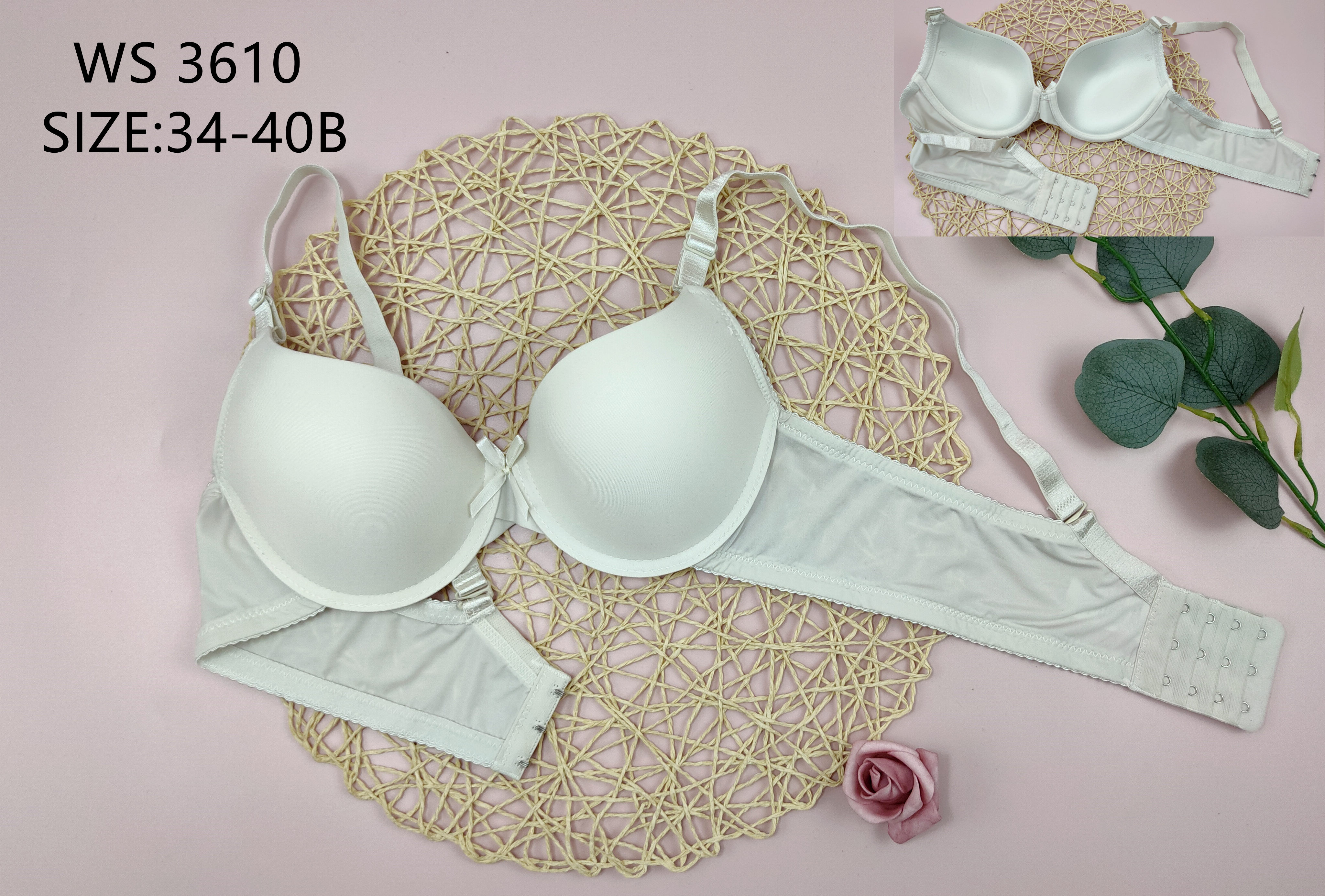 WS3610,bra