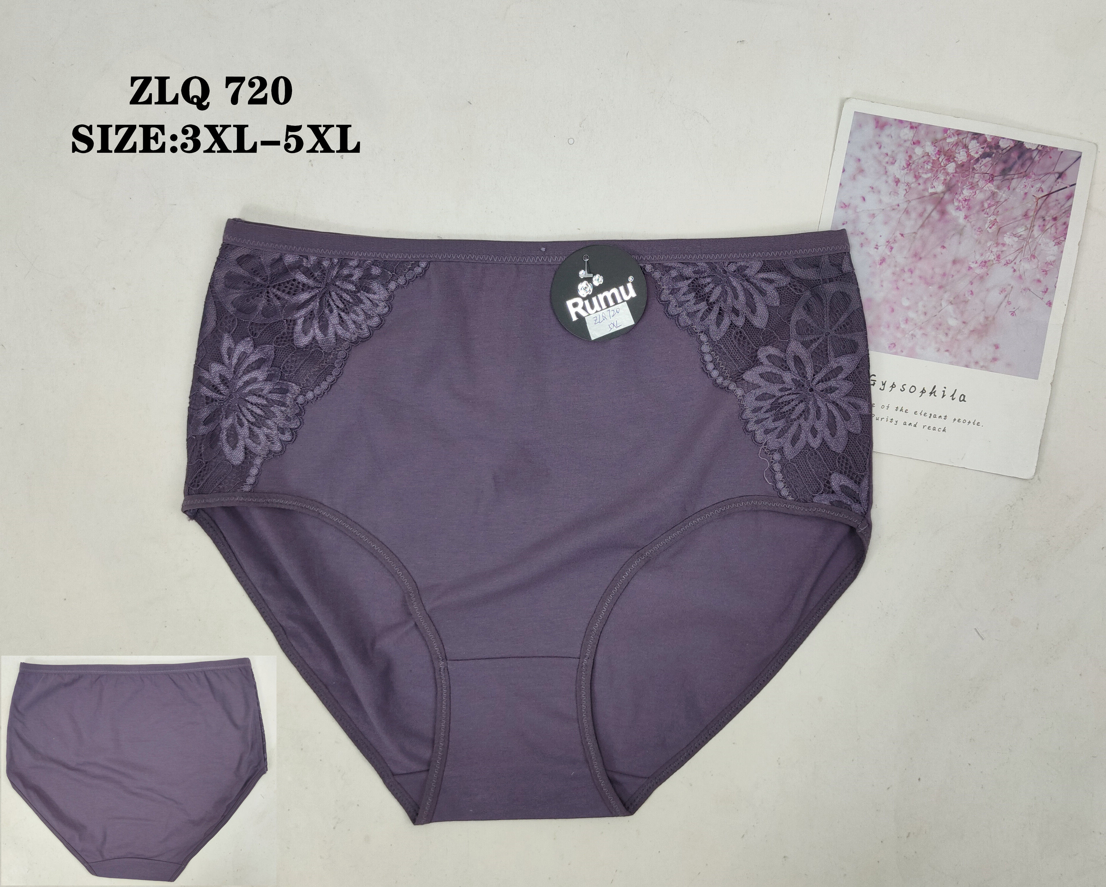 ZLQ720