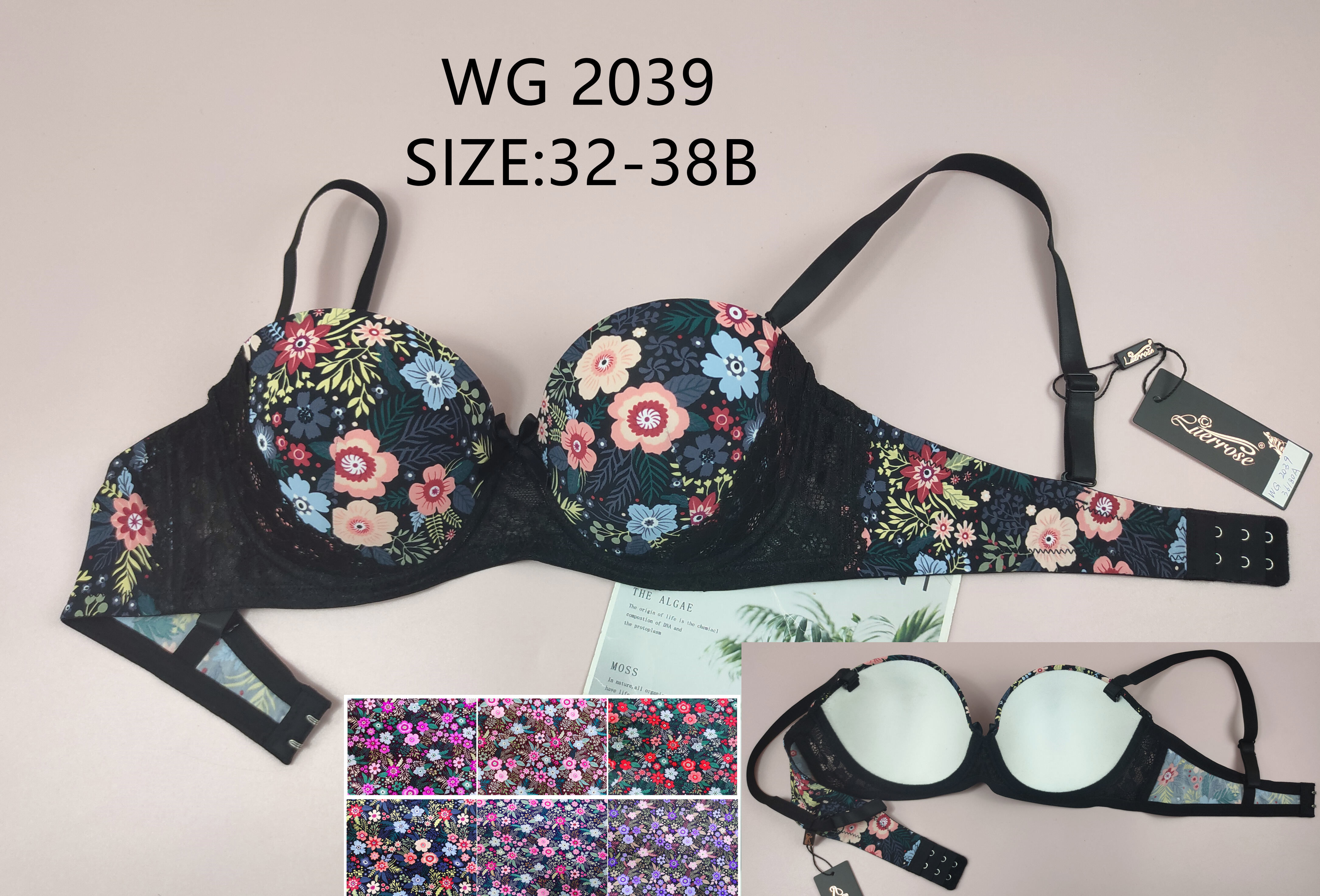 WG2039，bra
