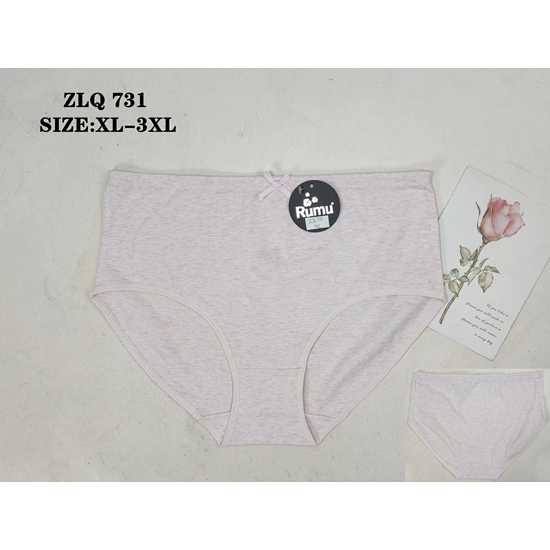 ZLQ731