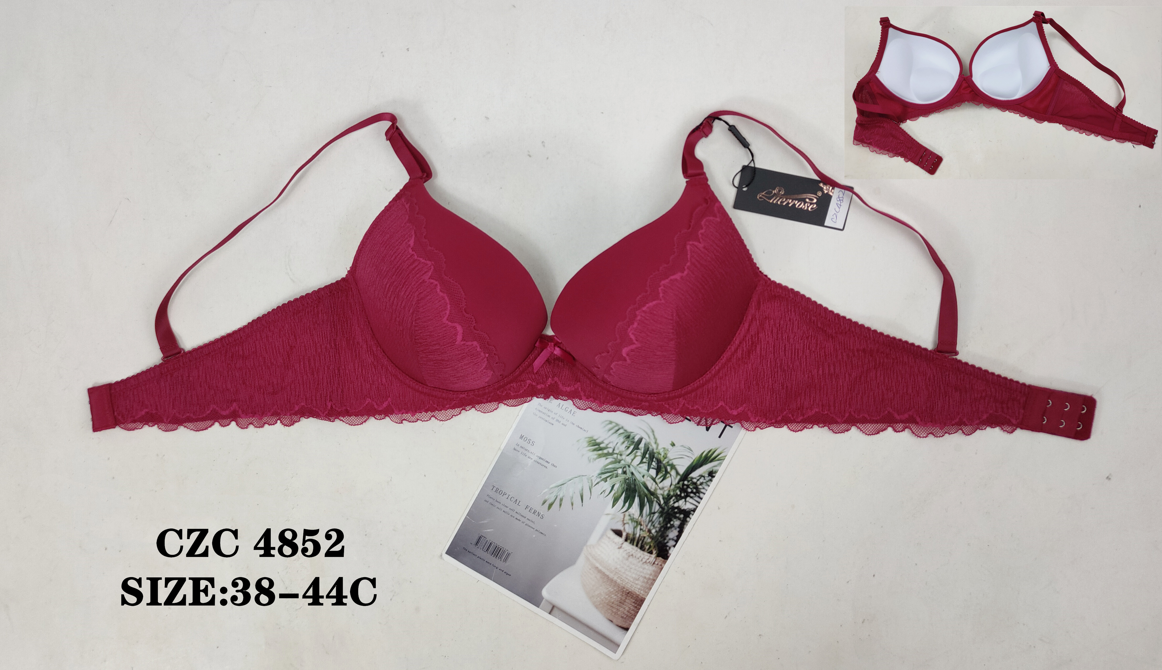 CZC4852,bra