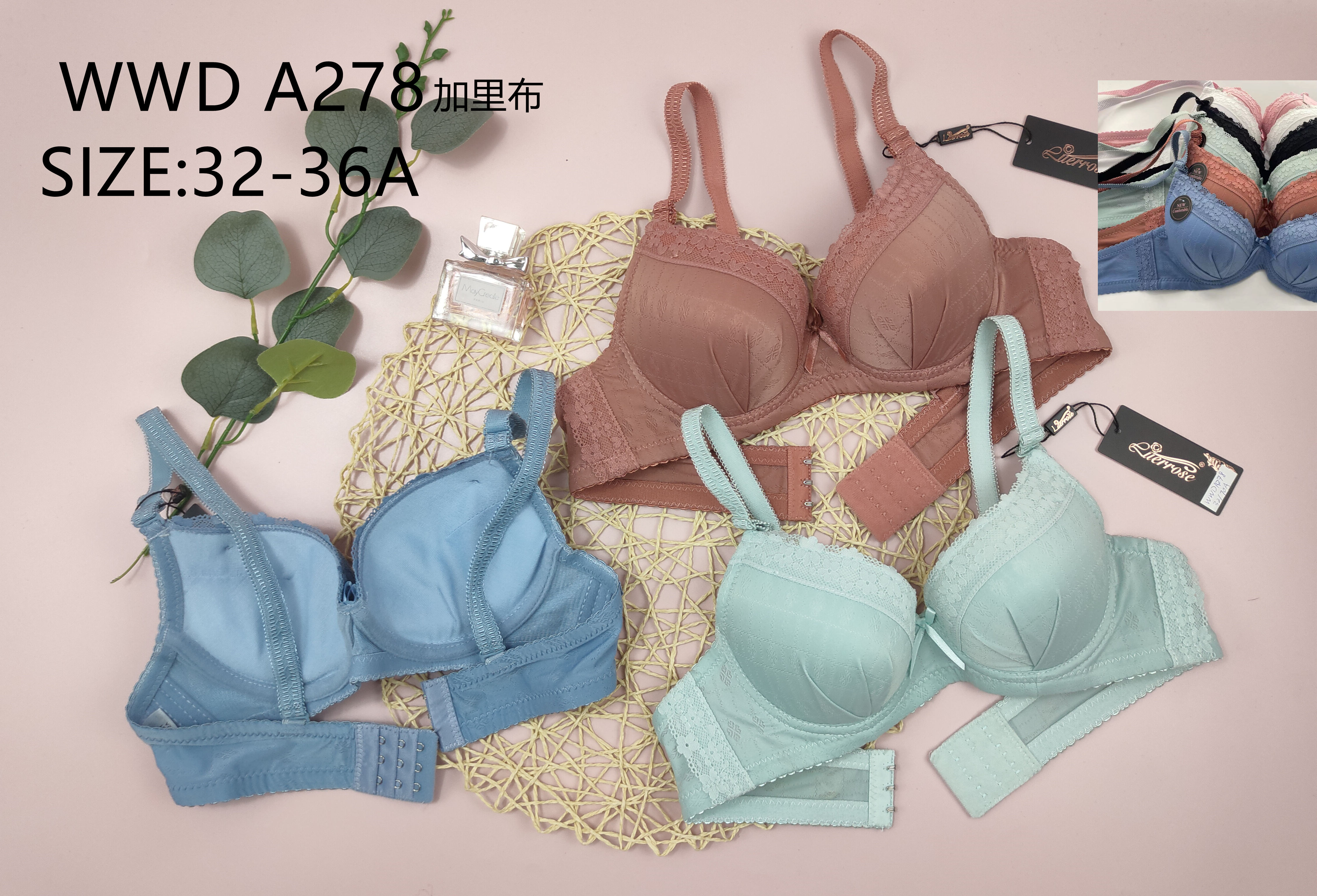 WWDA278,bra