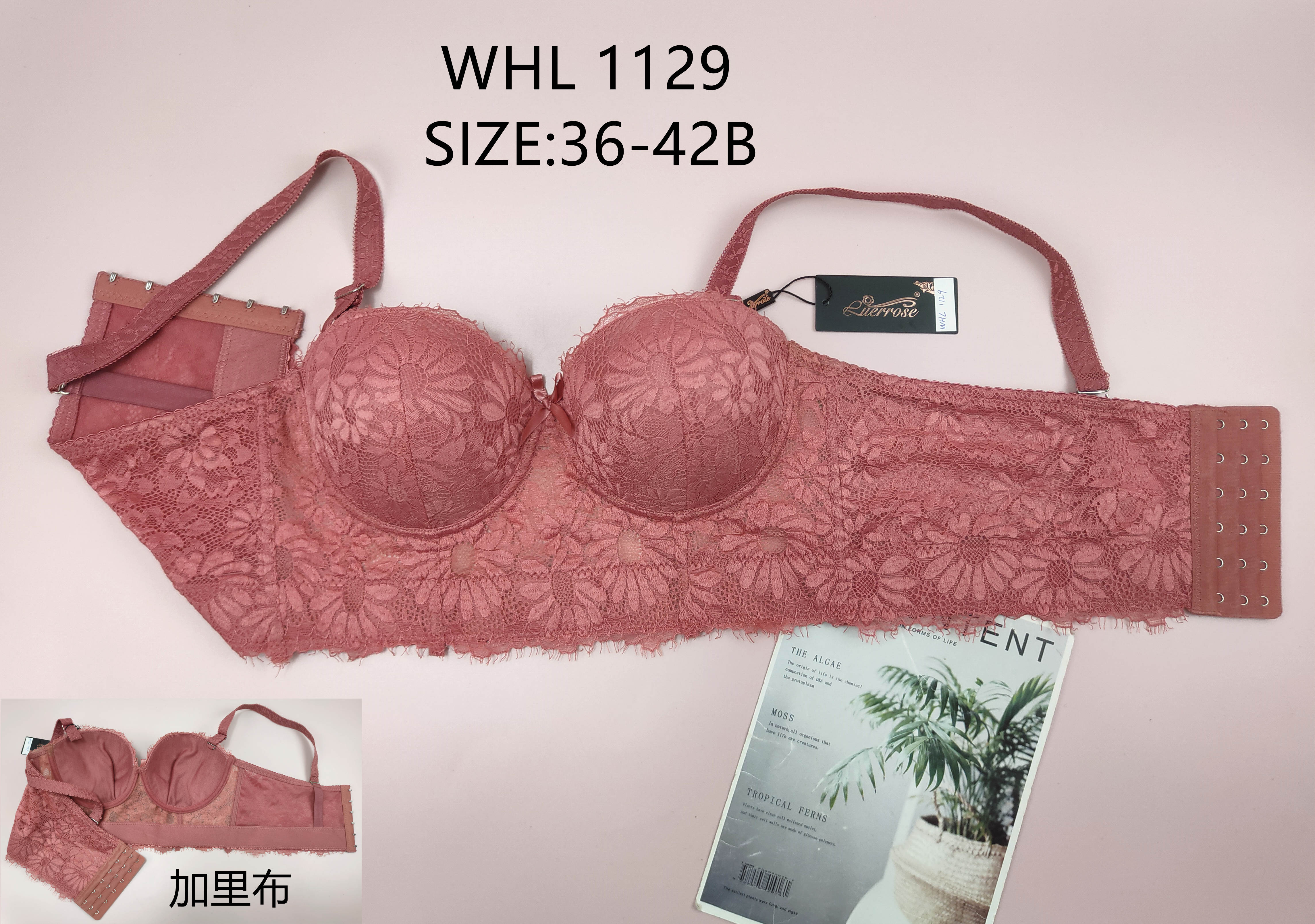 WHL1129