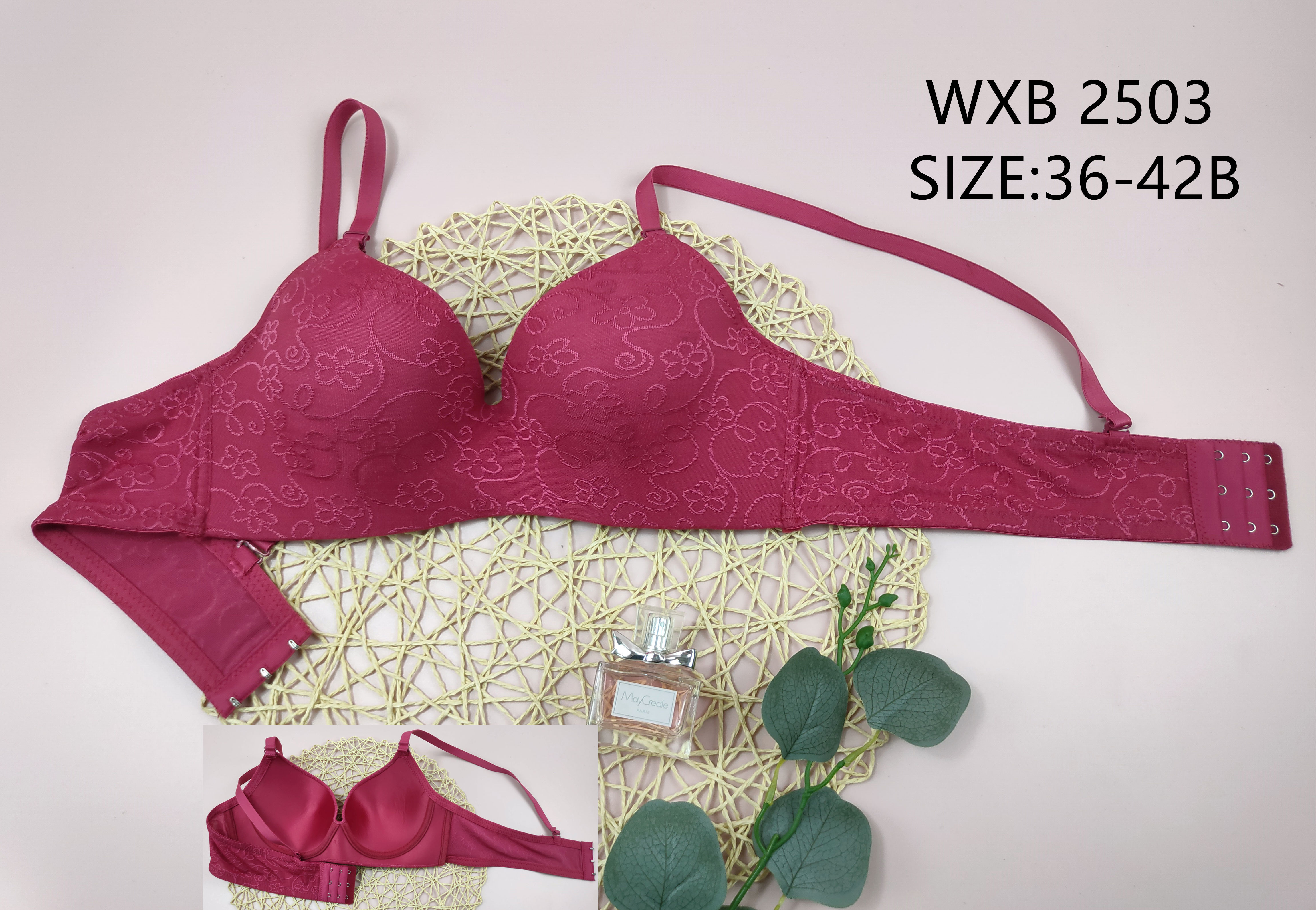 WXB2503,bra