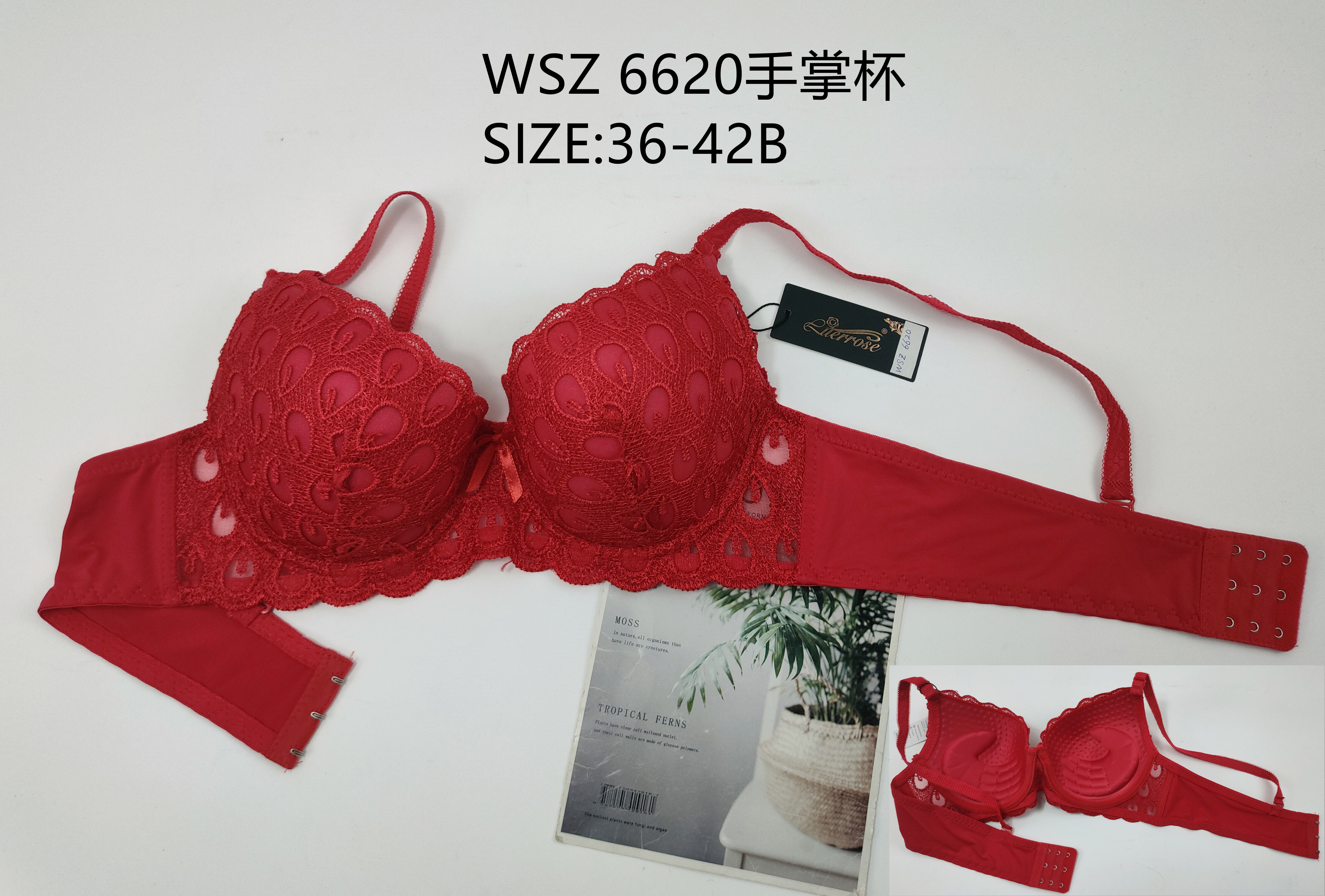 WSZ6620手掌杯