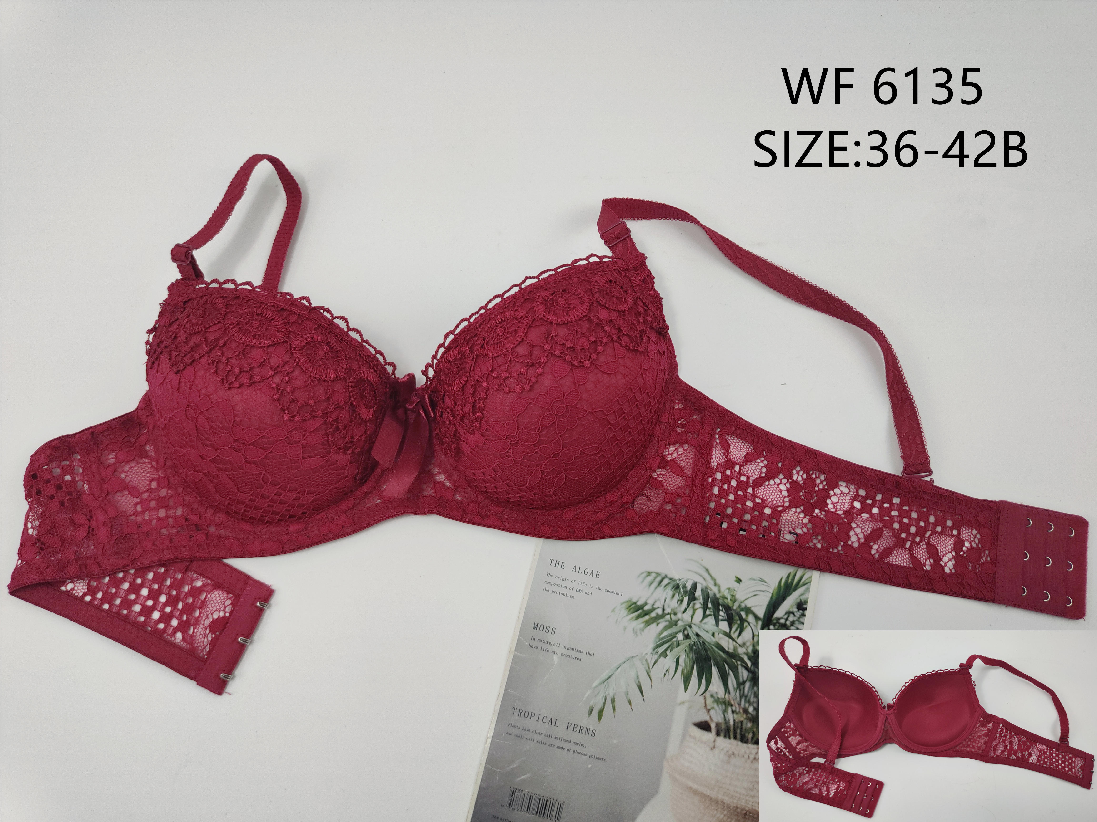 WF6135