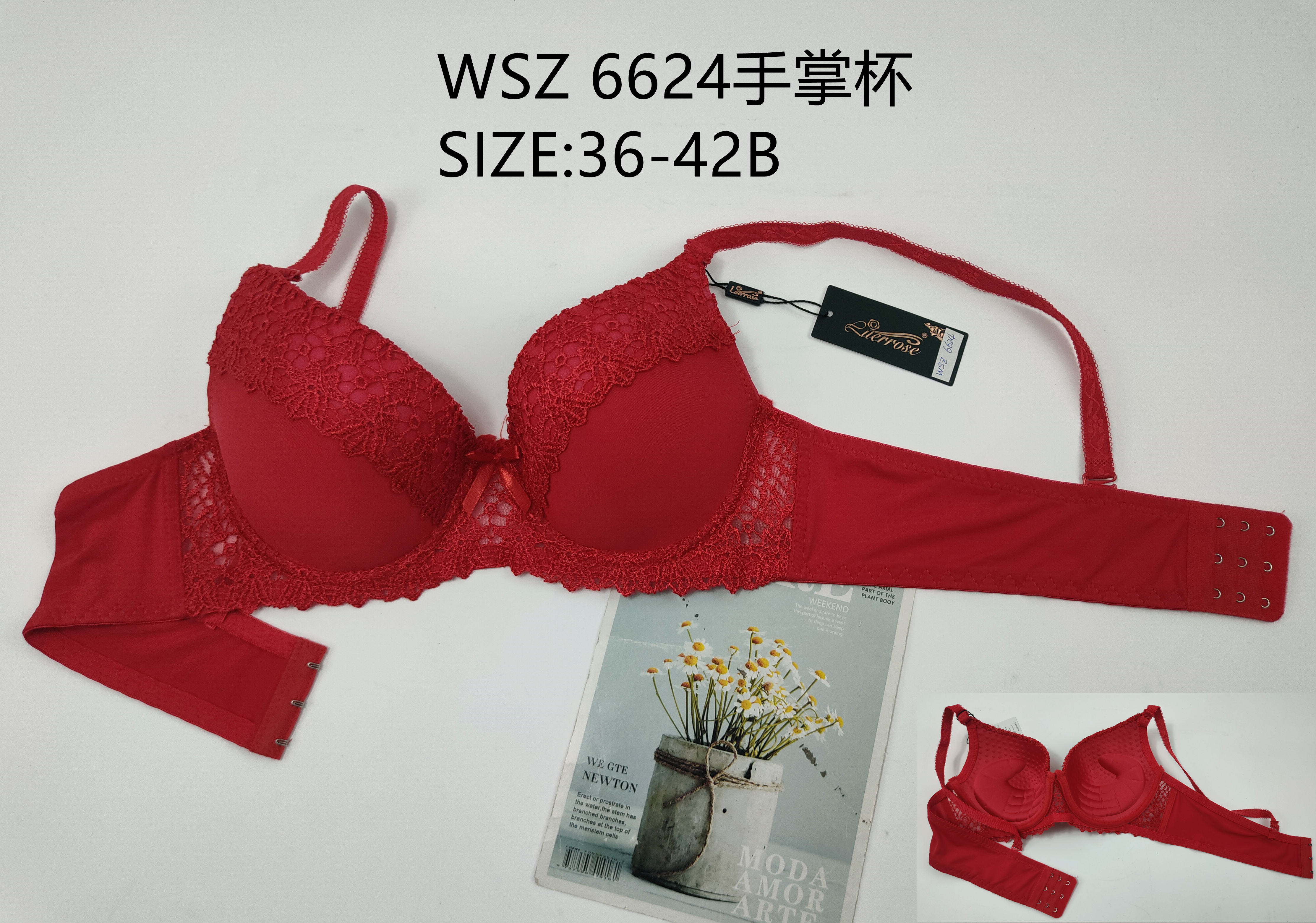 WSZ6624手掌杯