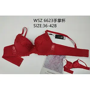 WSZ6623手掌杯