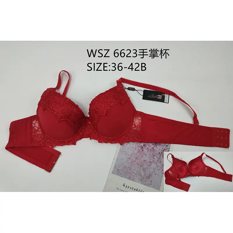 WSZ6623手掌杯