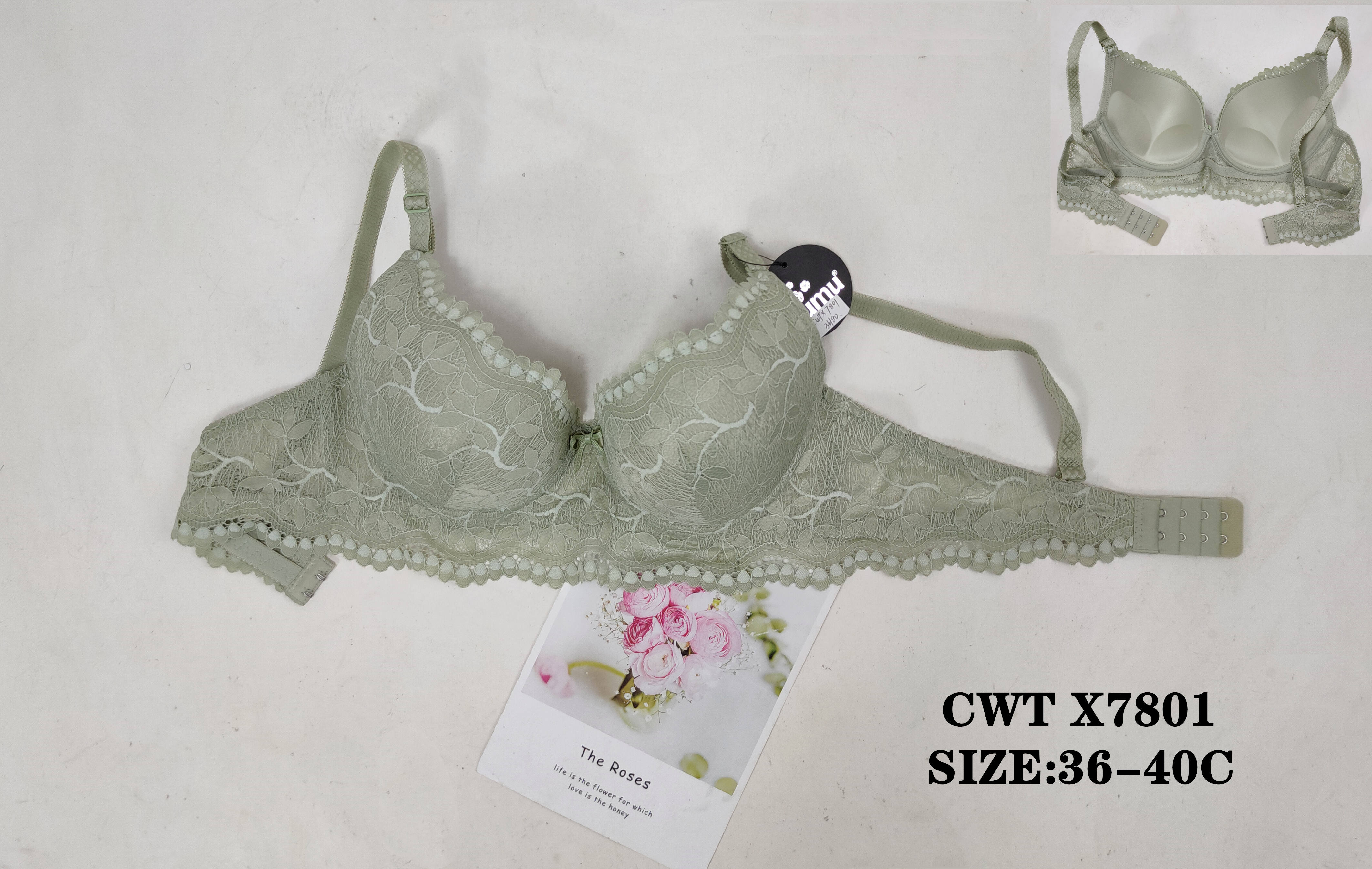 CWTX7801,bra
