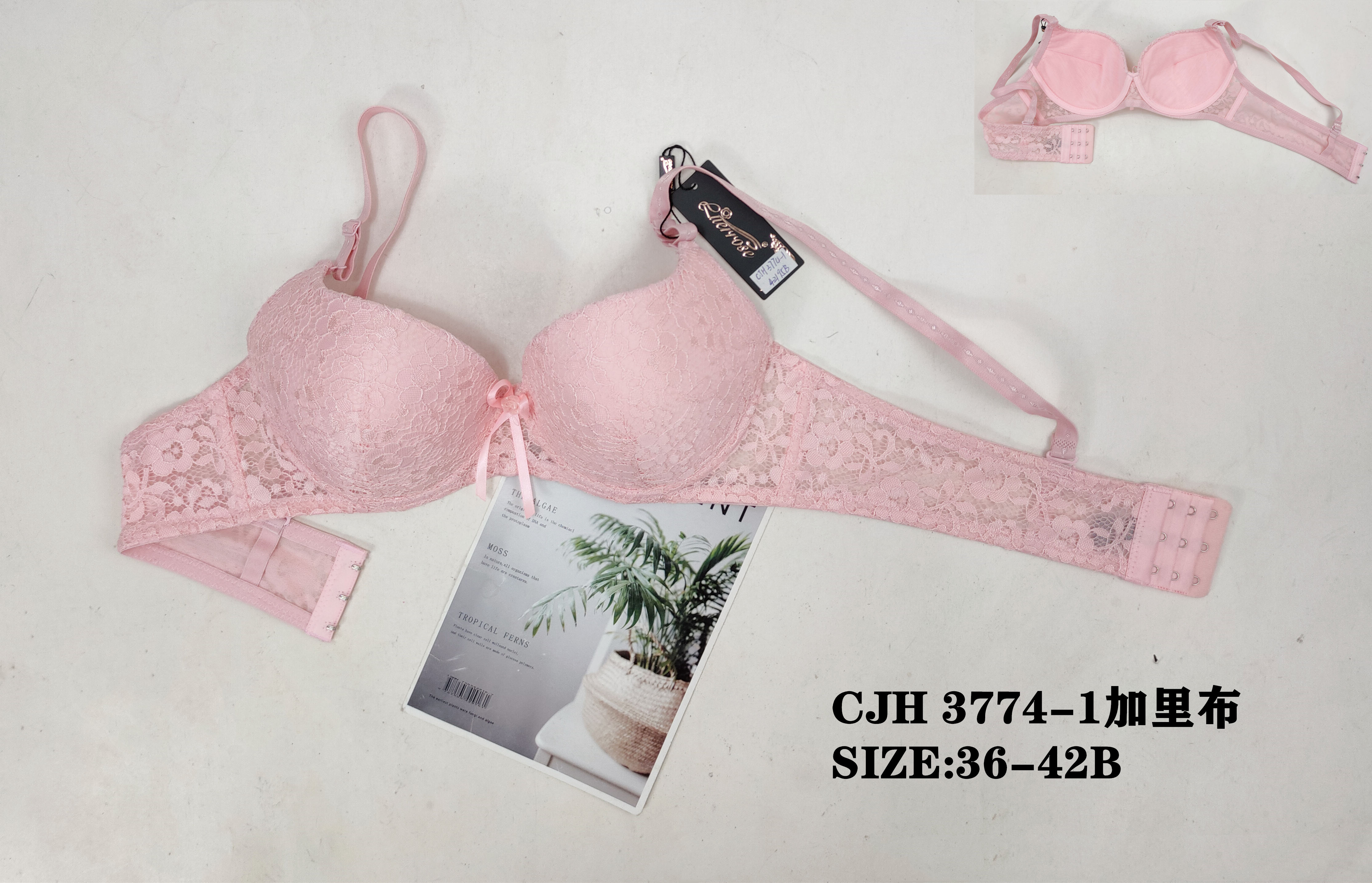 CJH3774-1,bra