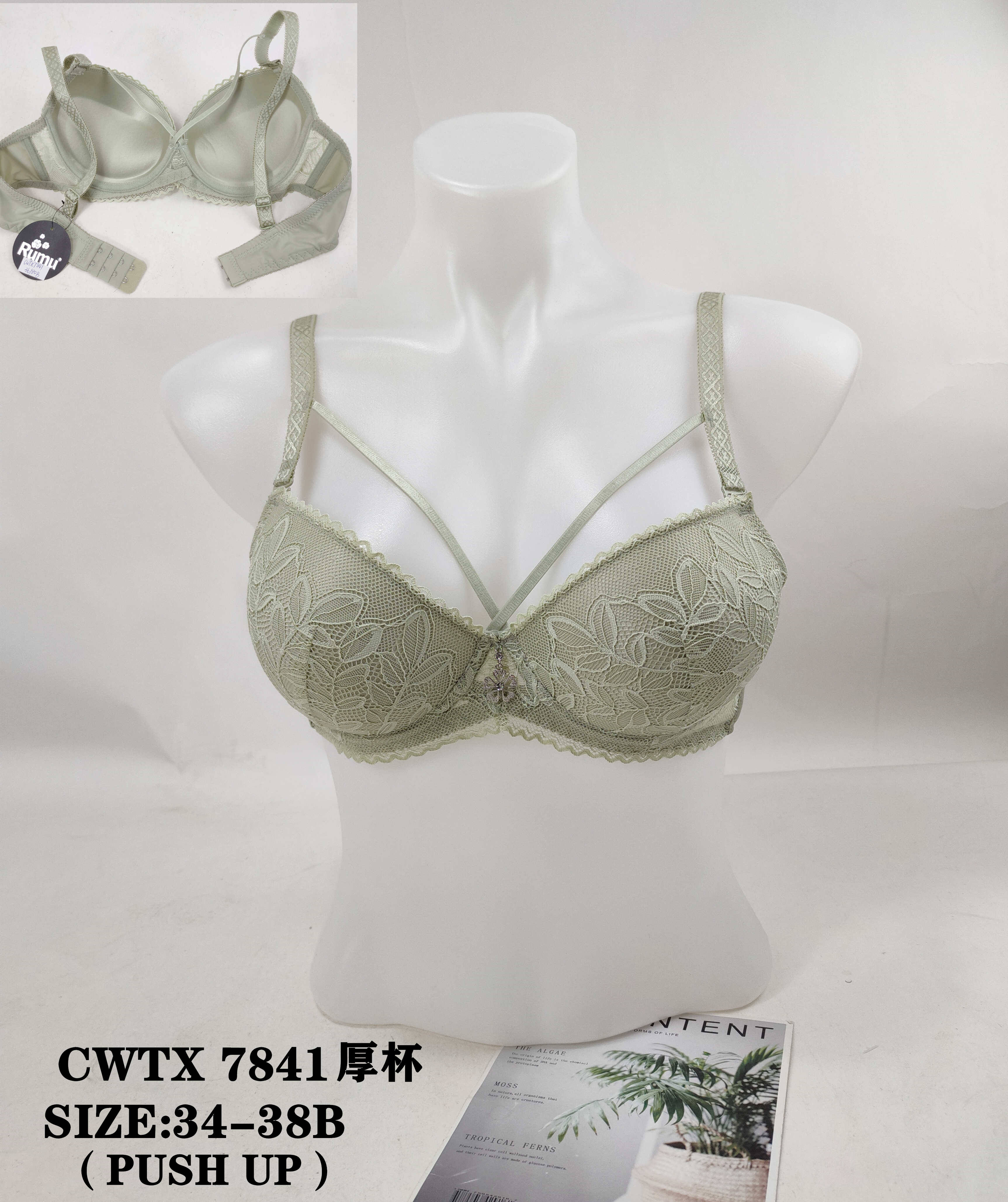 CWTX7841厚杯,bra