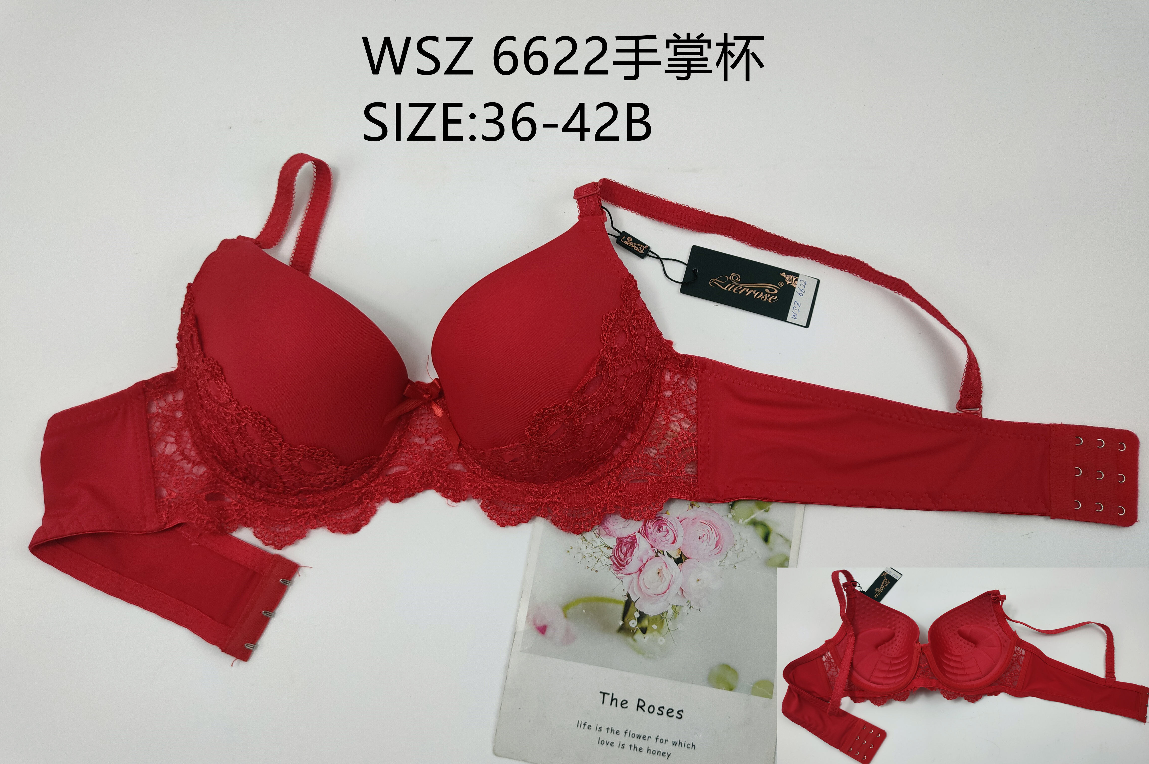 WSZ6622手掌杯