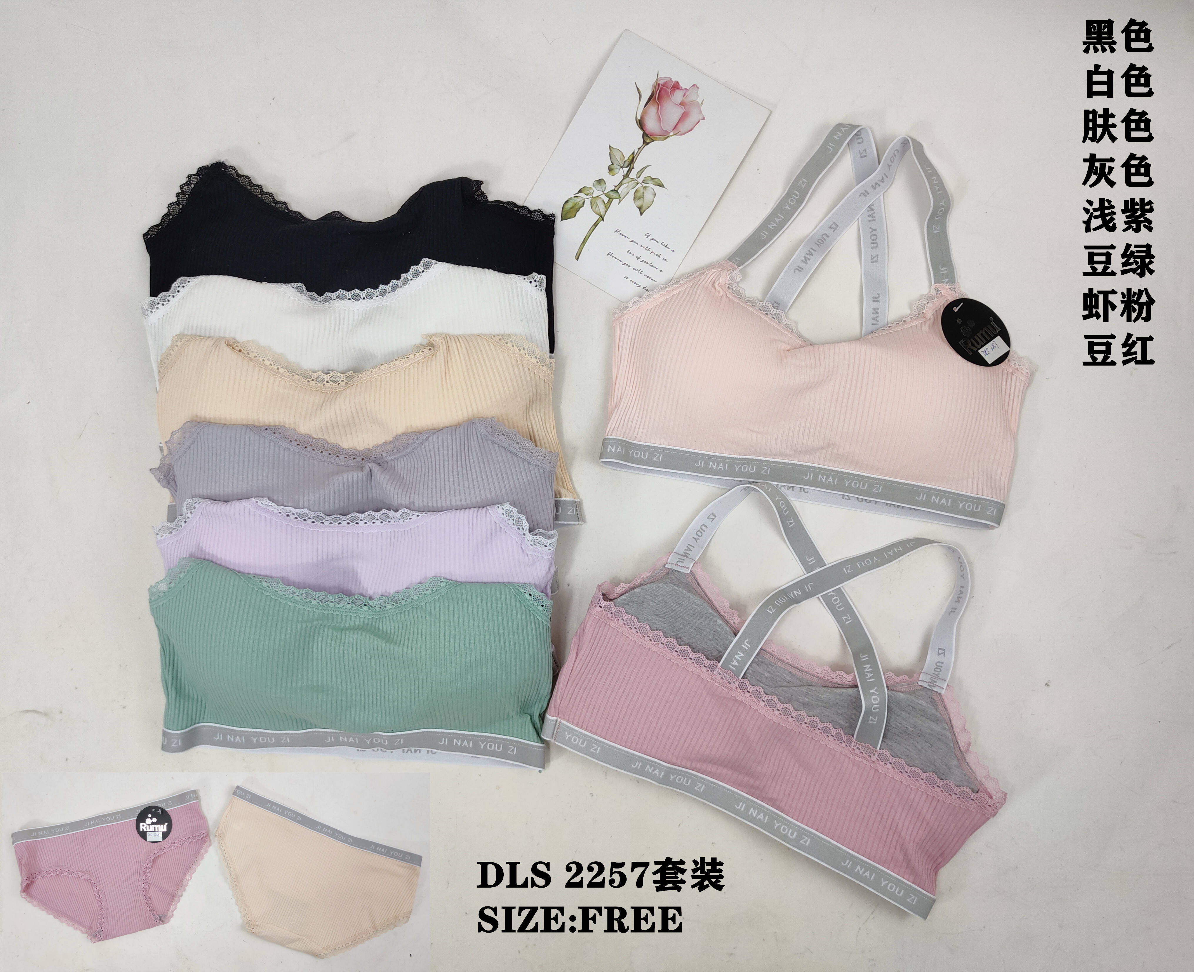 DLS2257套装