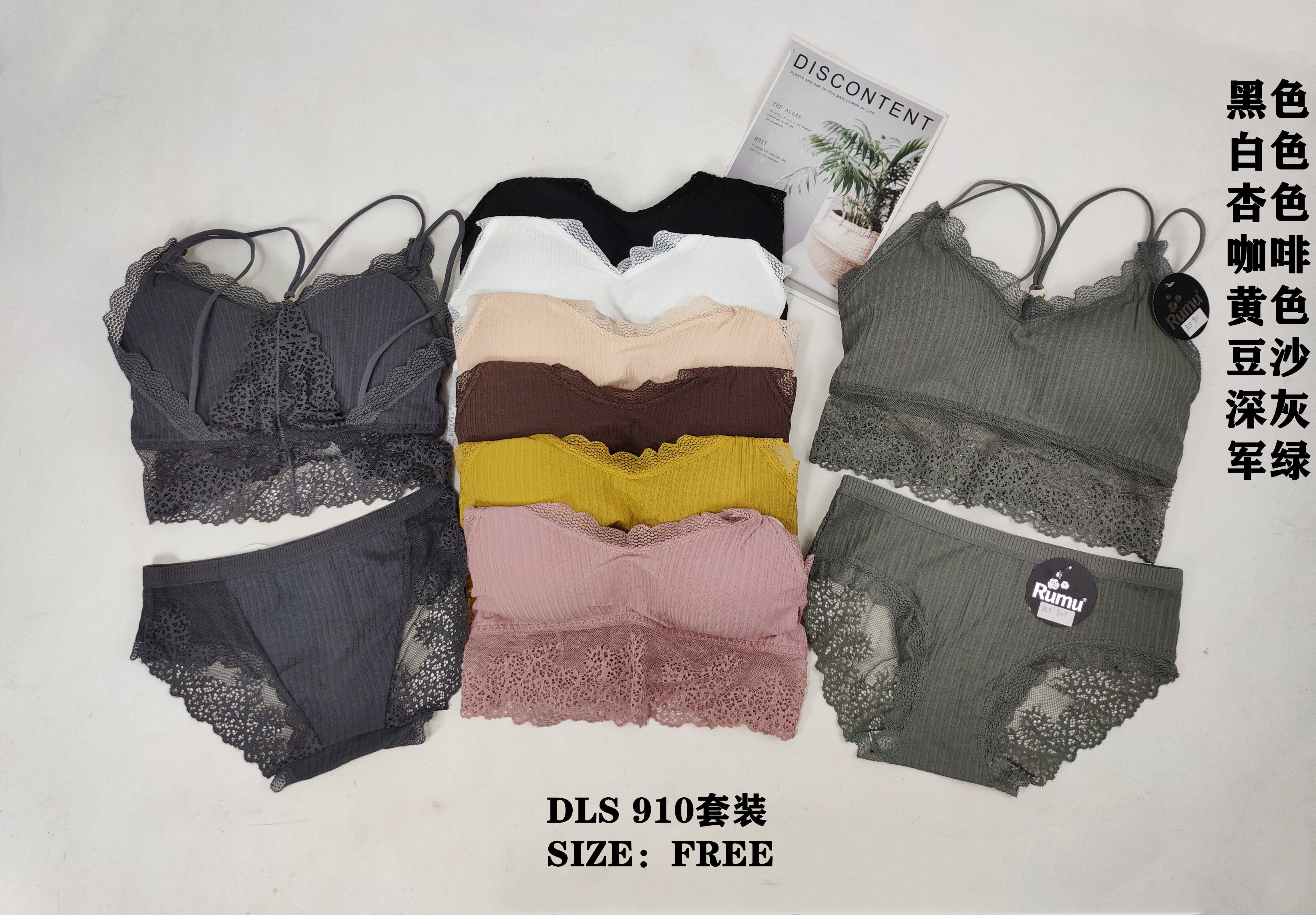 DLS910套装