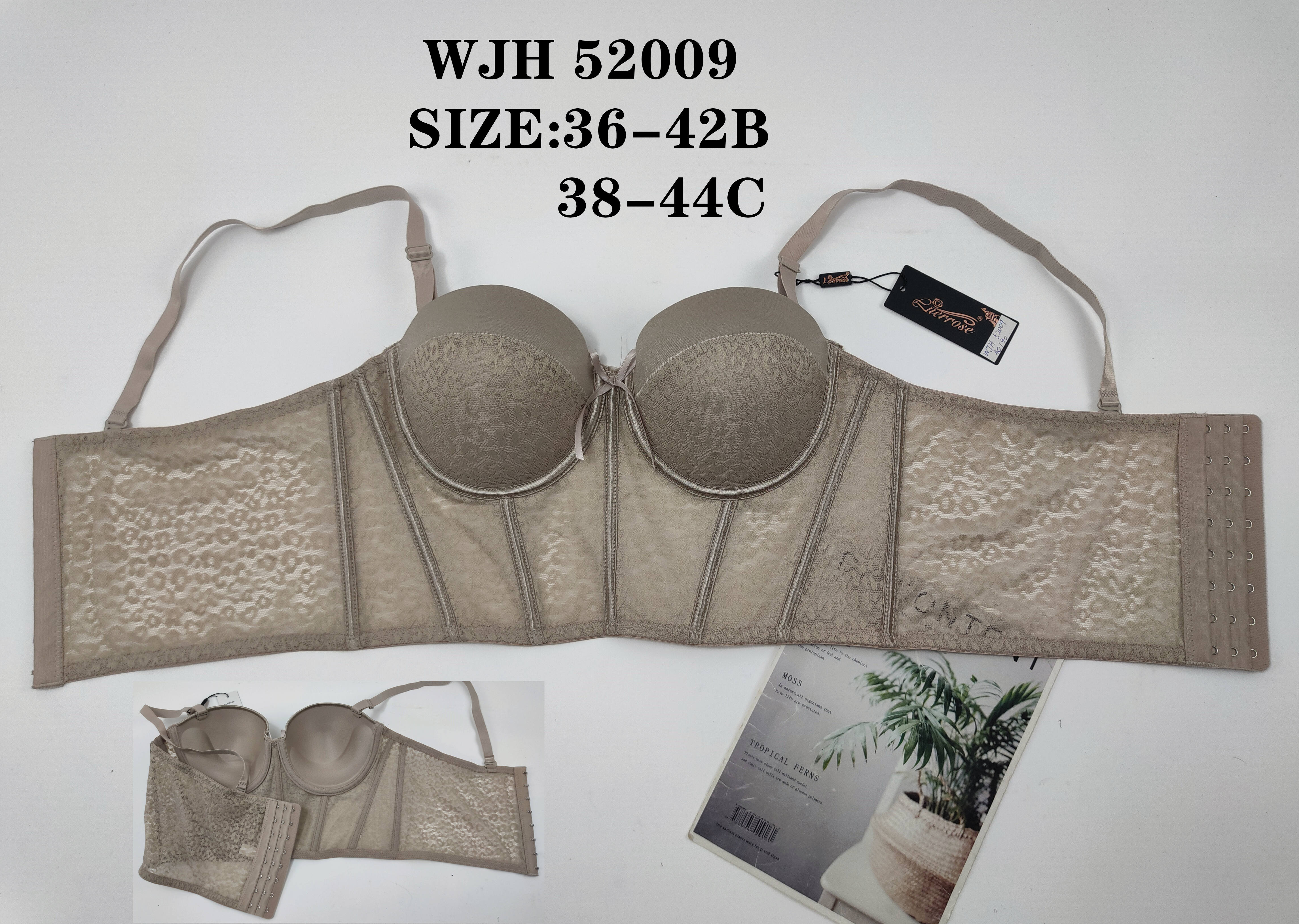 WJH52009