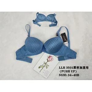 LLH3501厚杯,bra